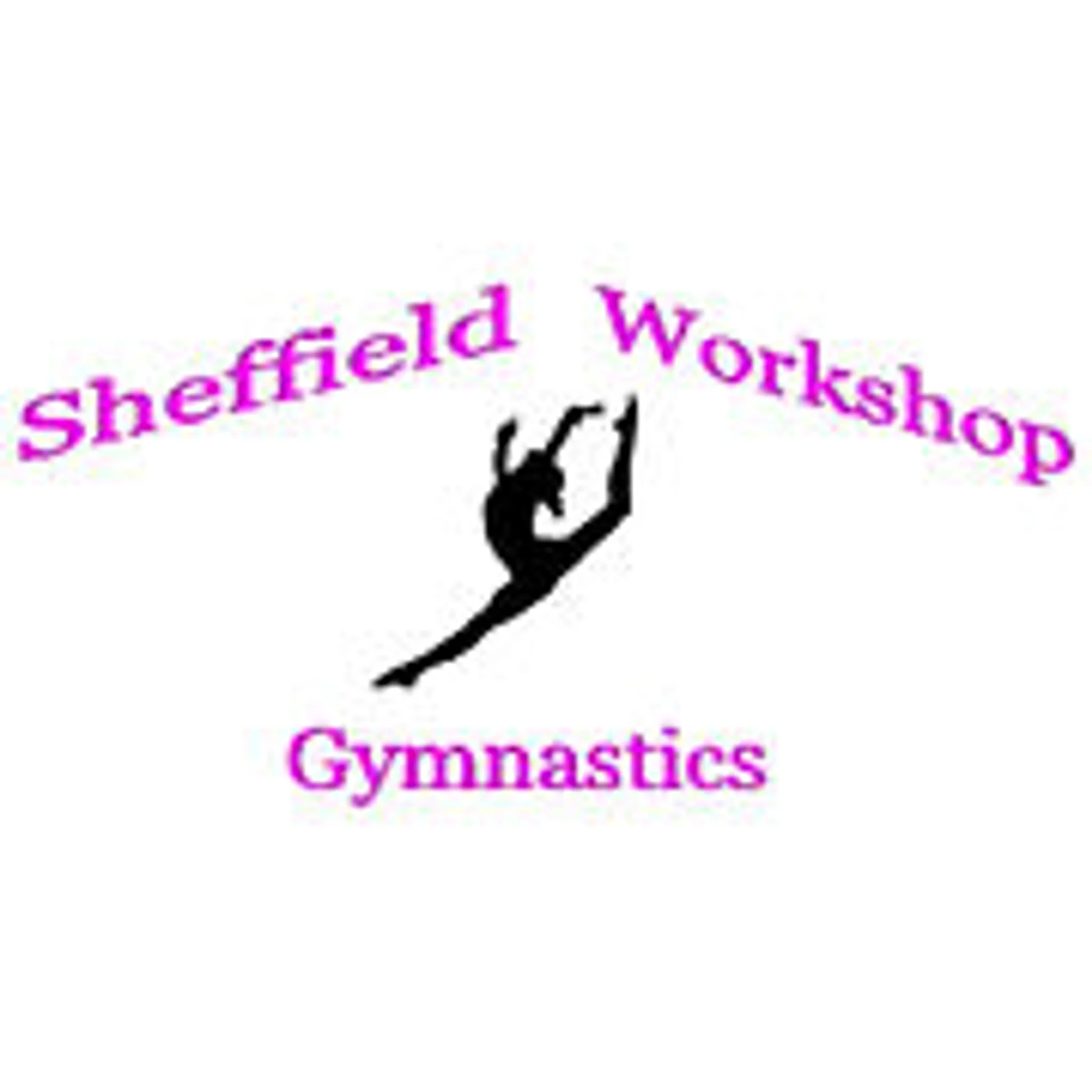 Sheffield Workshop Gymnastics