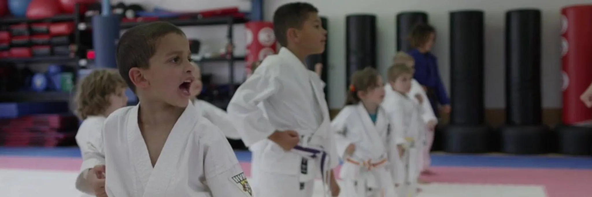 Hunter Valley Martial Arts 