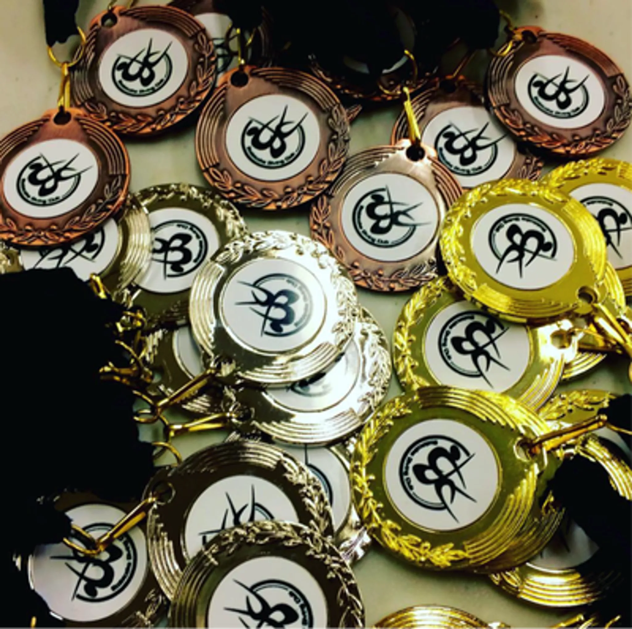 Etobicoke Diving Club