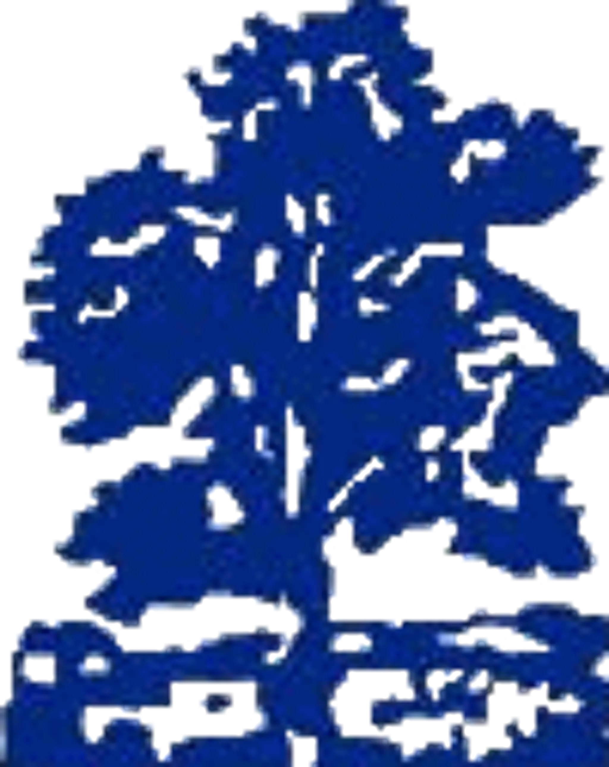 Moseley Ashfield Cricket Club