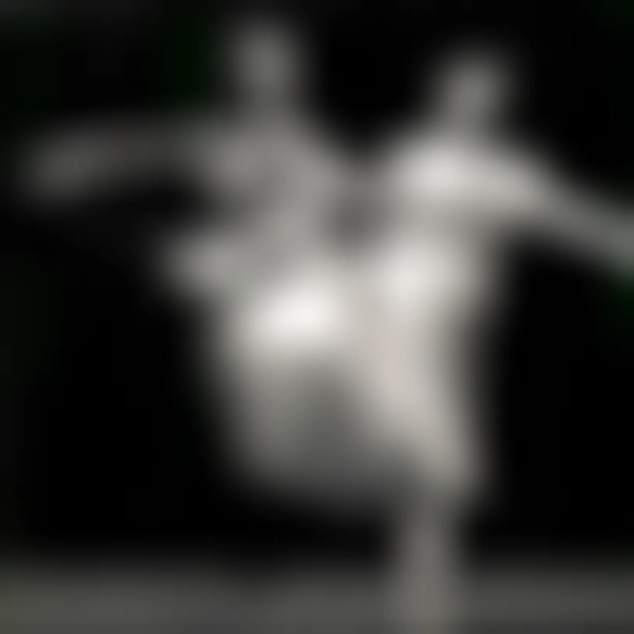 Brian Nolan Academy of Dance