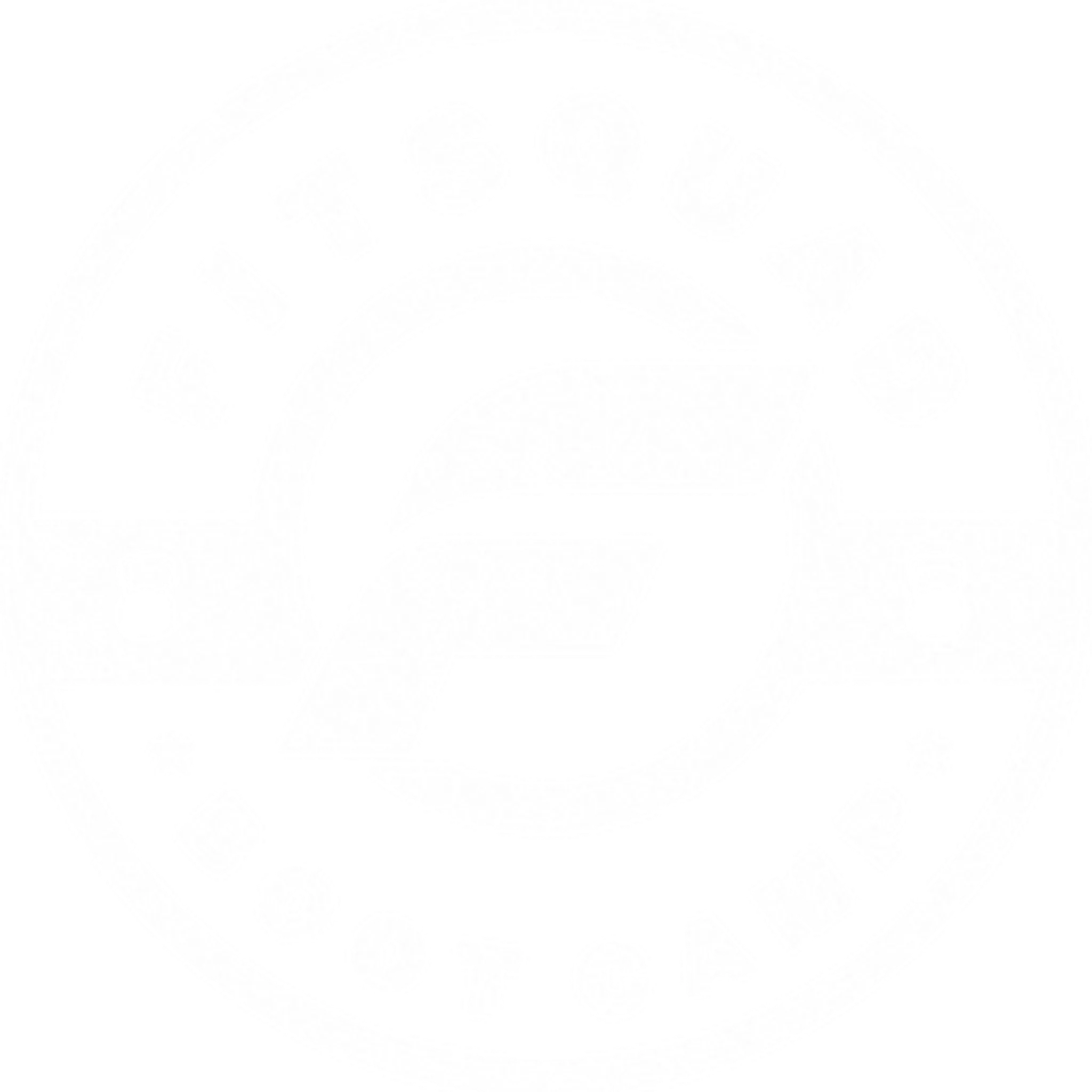Fitsquad Bootcamp Orakei - Fitness Group Training PT