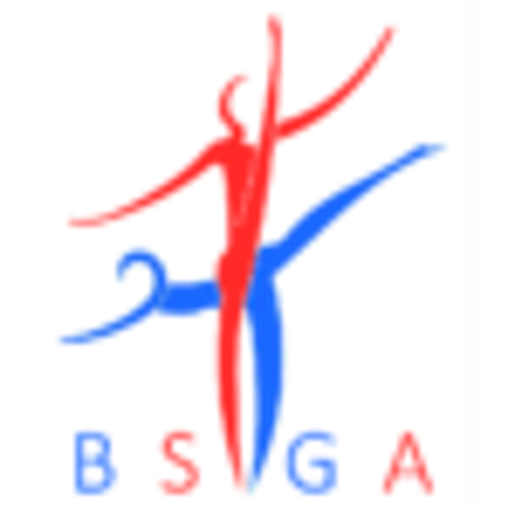 British Schools Gymnastics Association