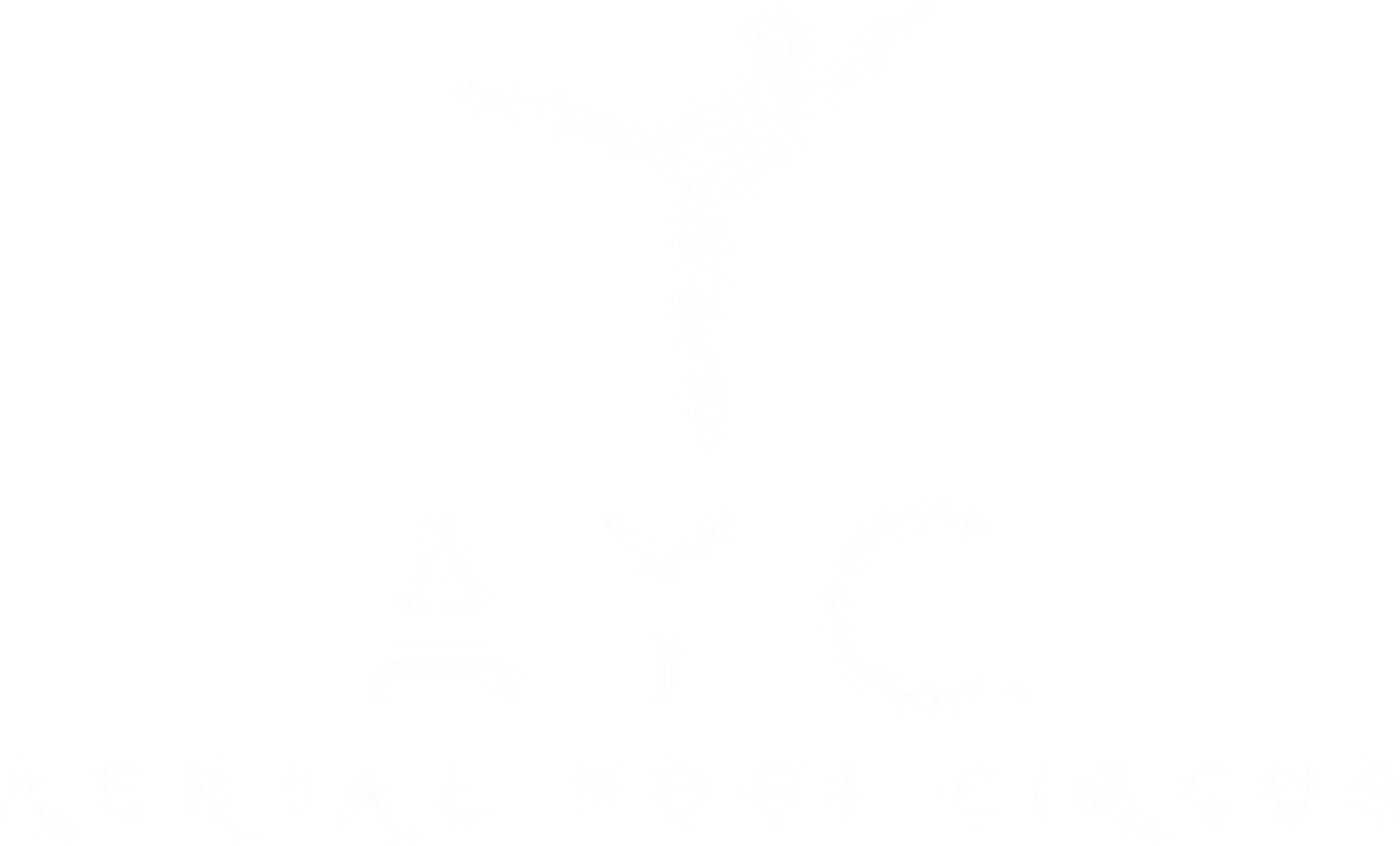 AYC STUDIOS