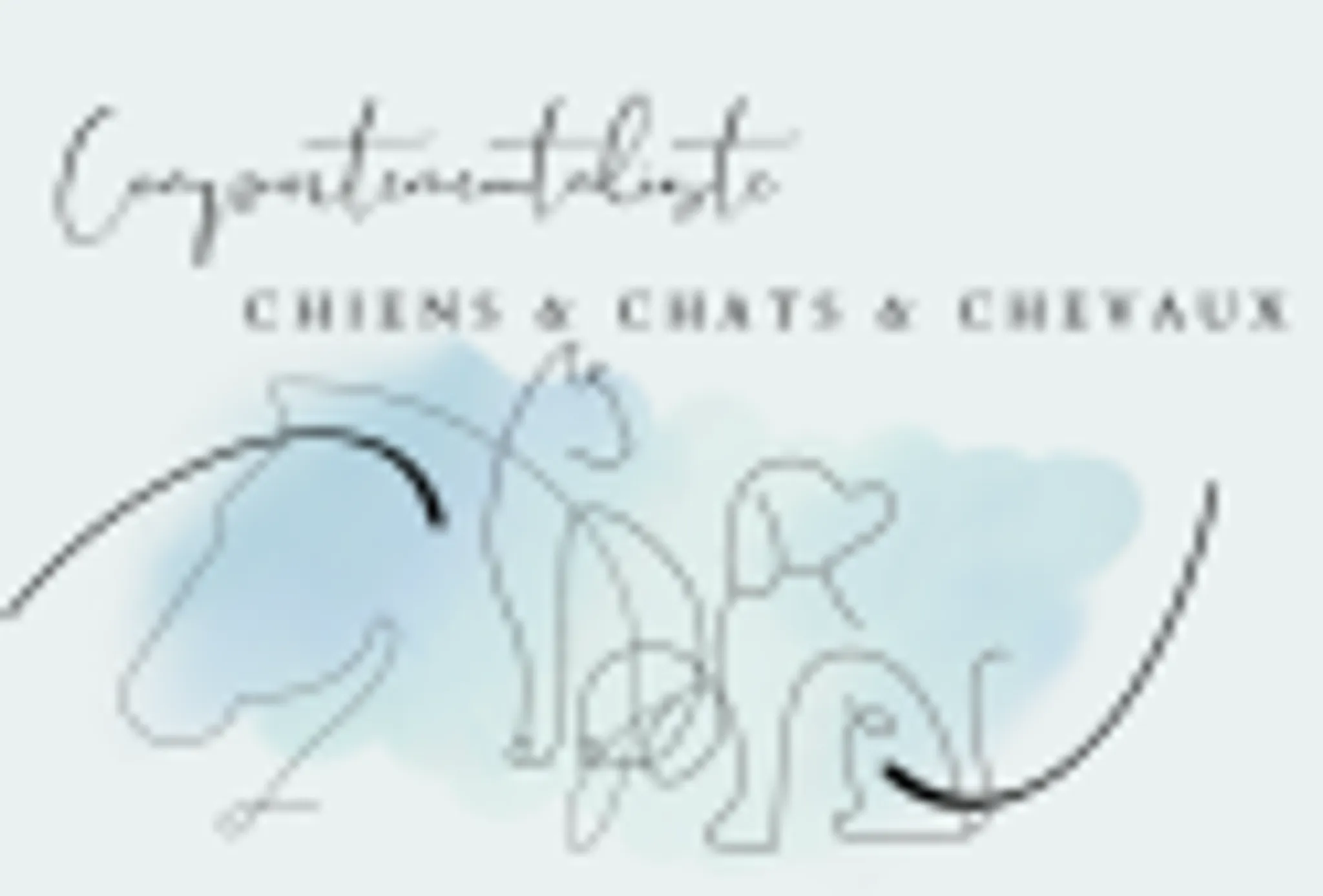Comportementaliste Chien, Chat, Cheval Saumur