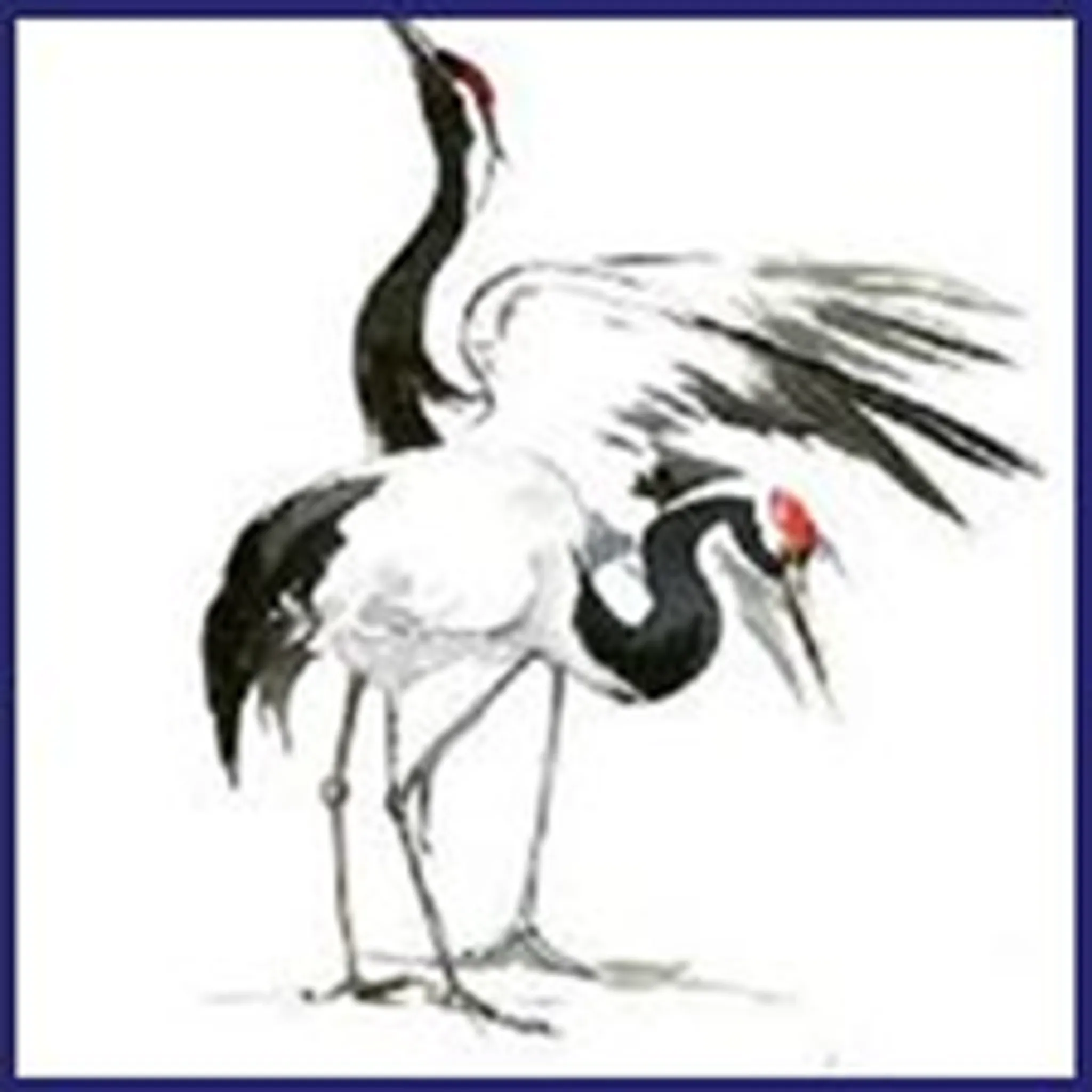 White Crane Karate School