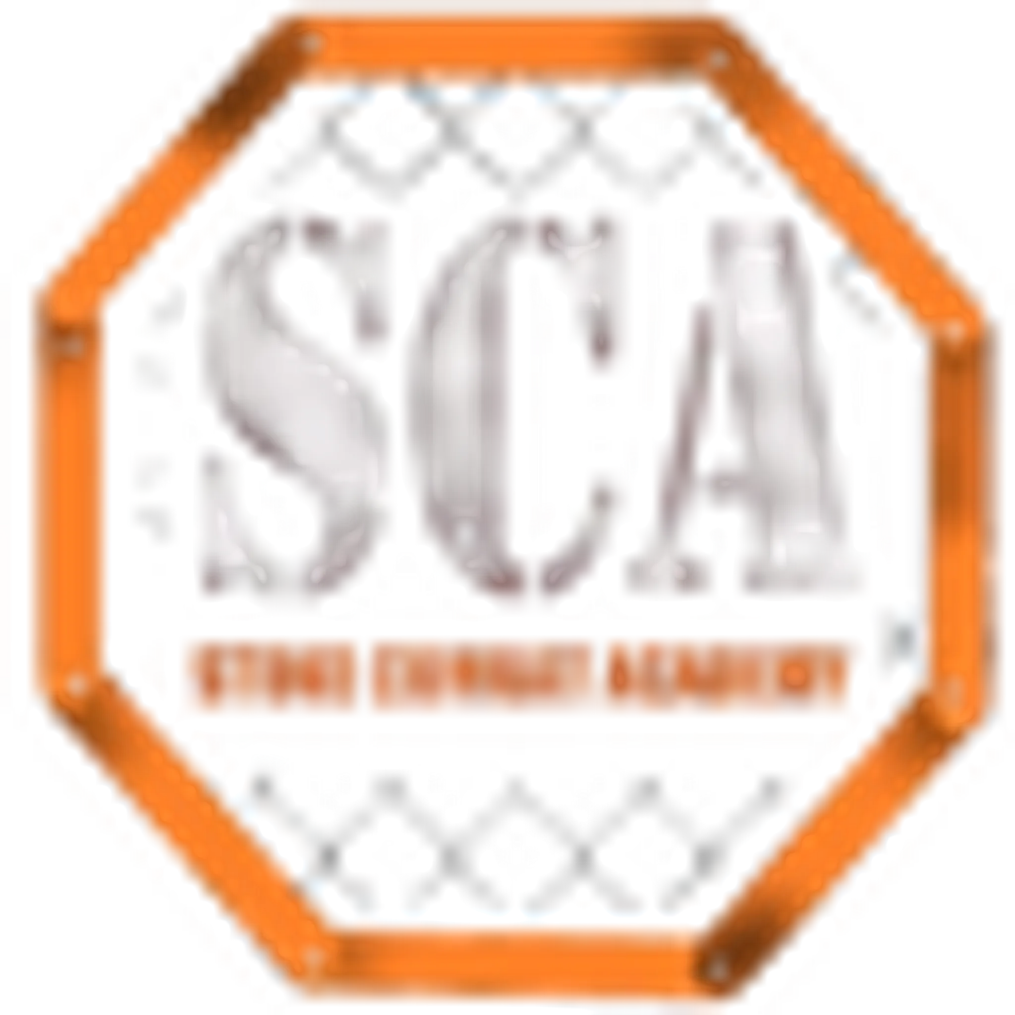 Stoke Combat Academy