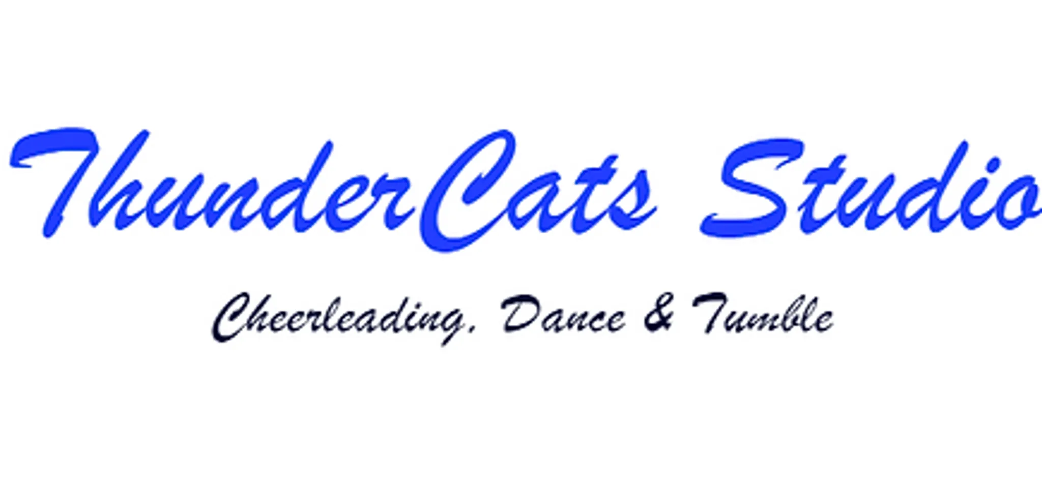 ThunderCats Studio