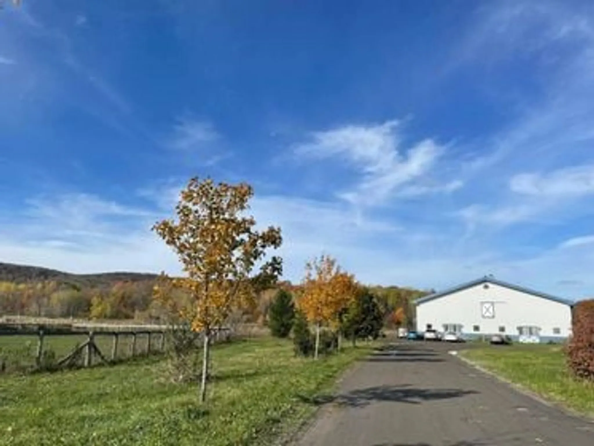 Camp équestre pour enfants de 6 ans et plus