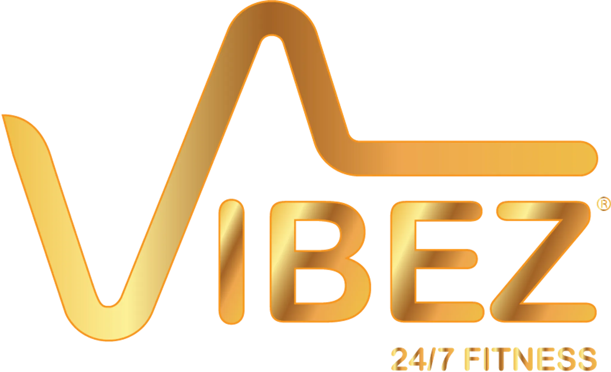 VibeZ 24/7 Fitness