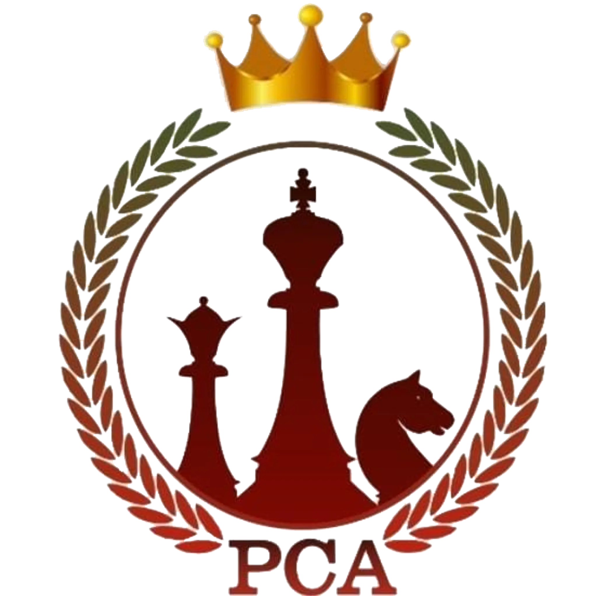 PROFESSIONAL CHESS ACADEMY