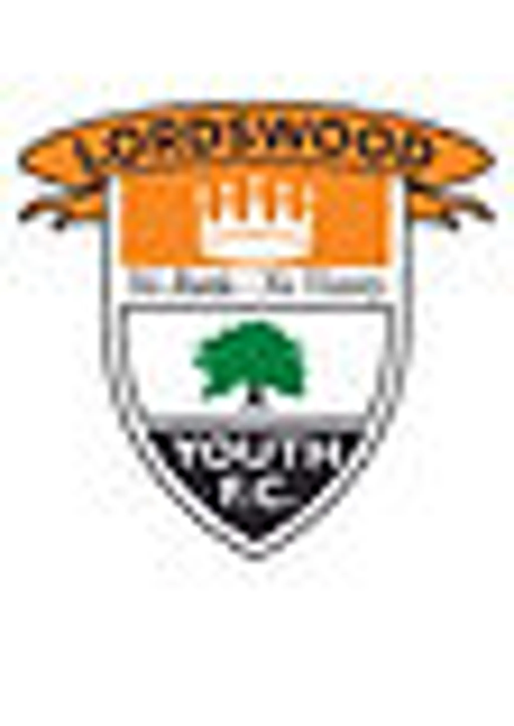 Lordswood Youth FC