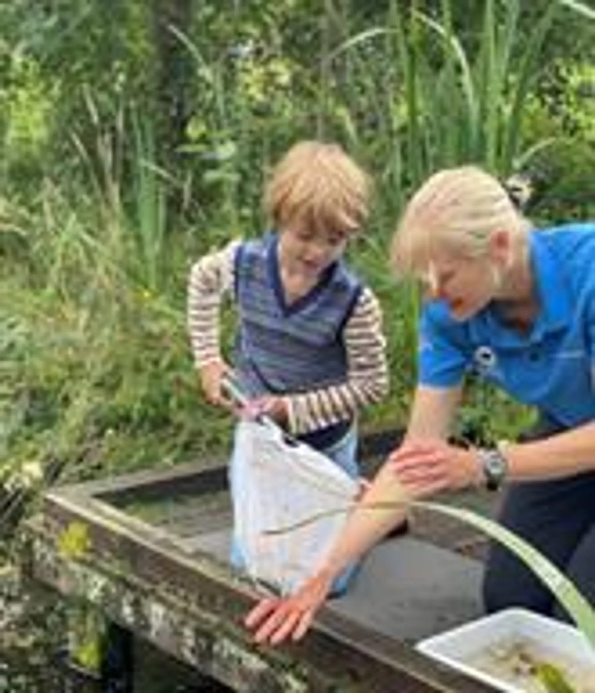 Heritage Garden Tours and Cream Tea