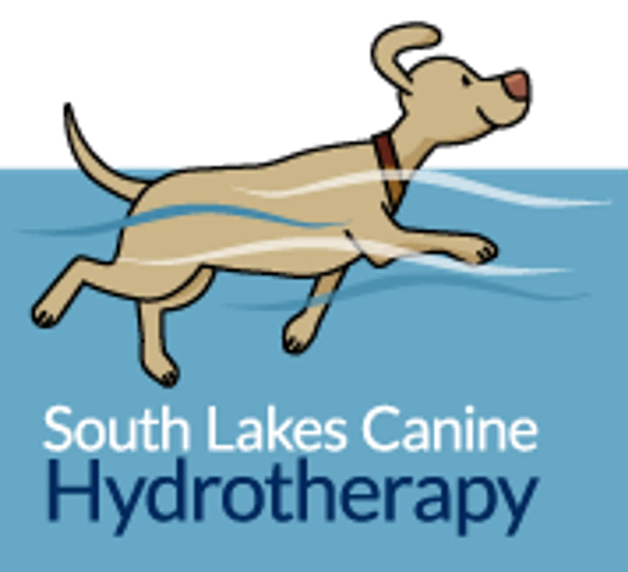 South Lakes Canine Hydrotherapy