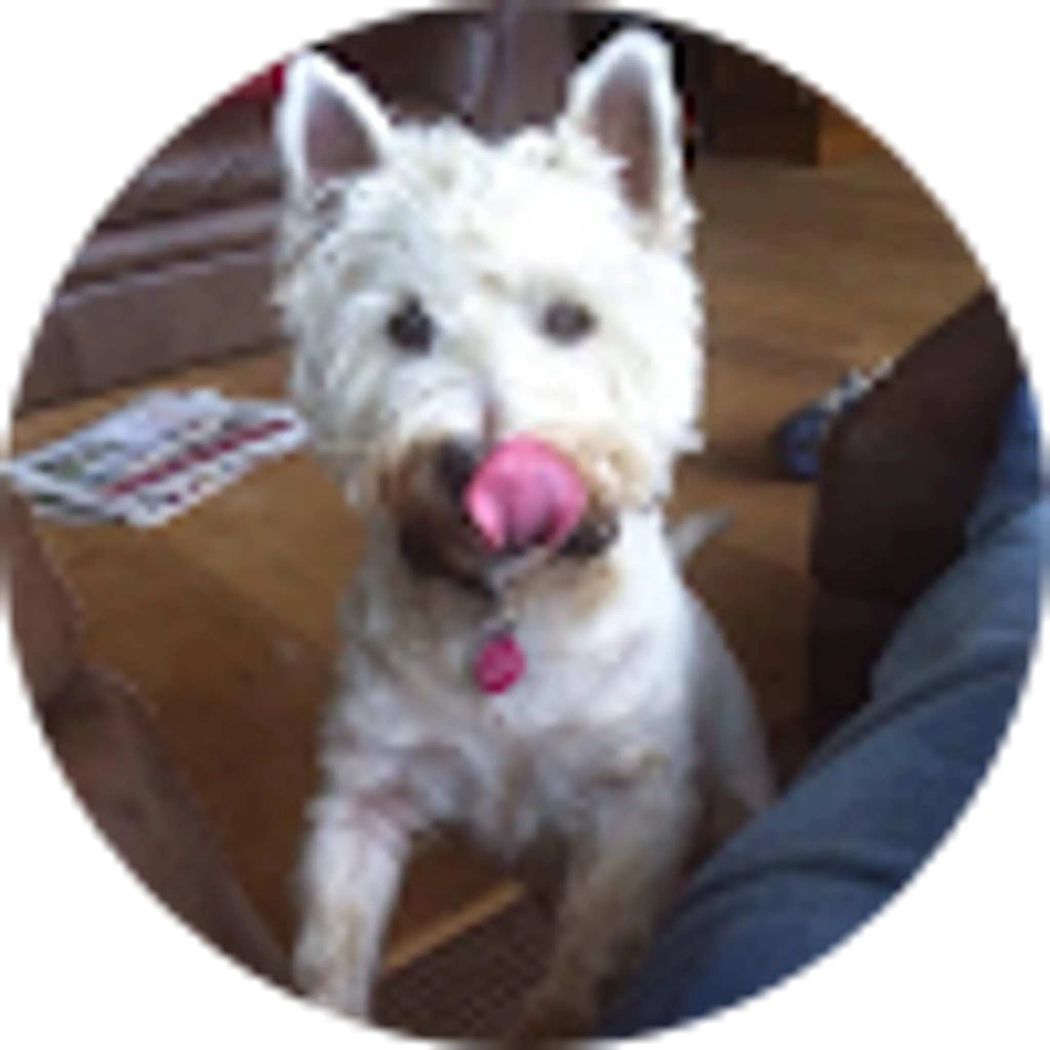 Charlie Hobson Personal Training