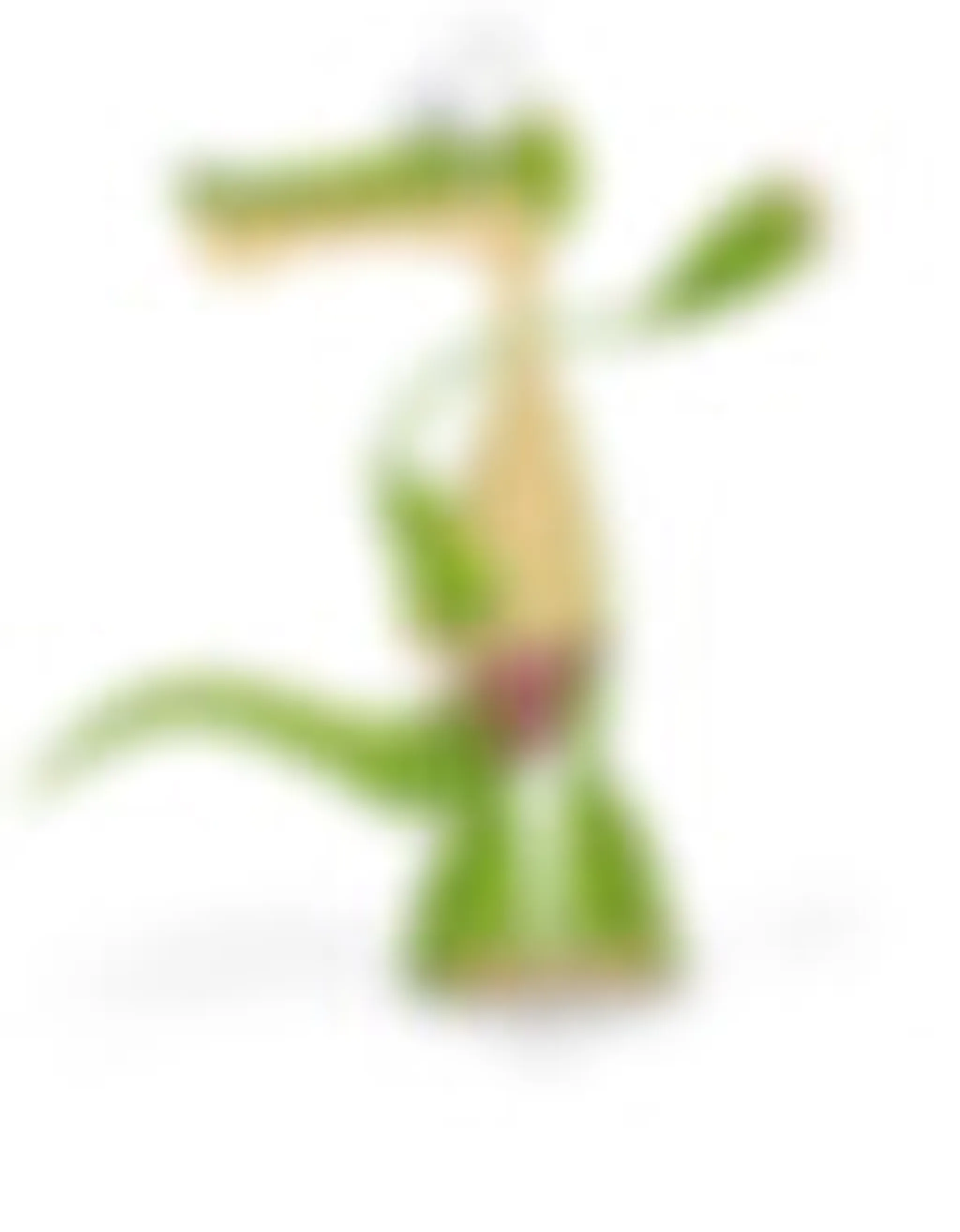 Waterhole Swimming Centre