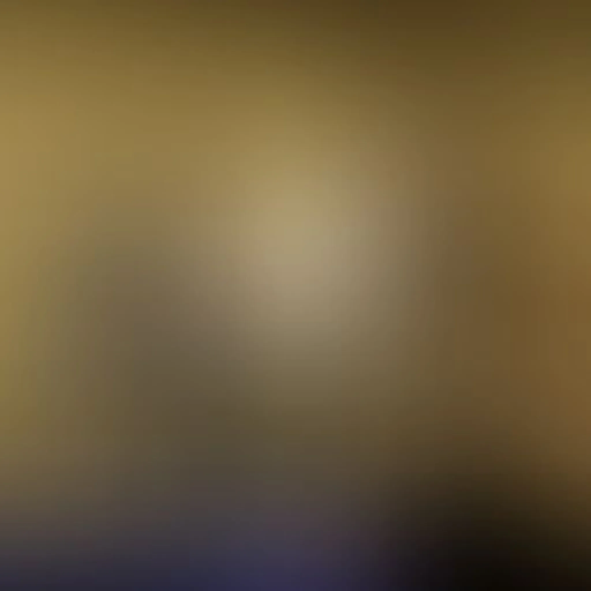 Sanctus Fitness and Boxing Gym