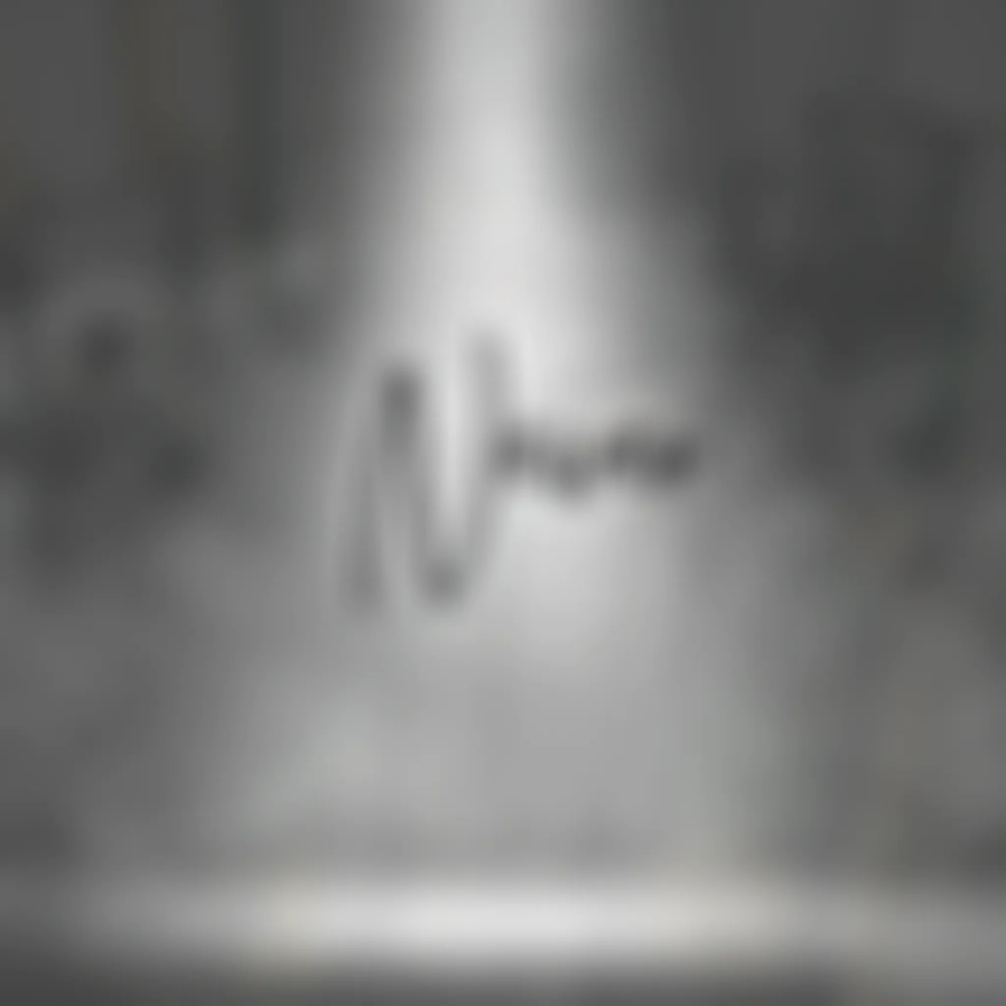 Bison Strength & Fitness