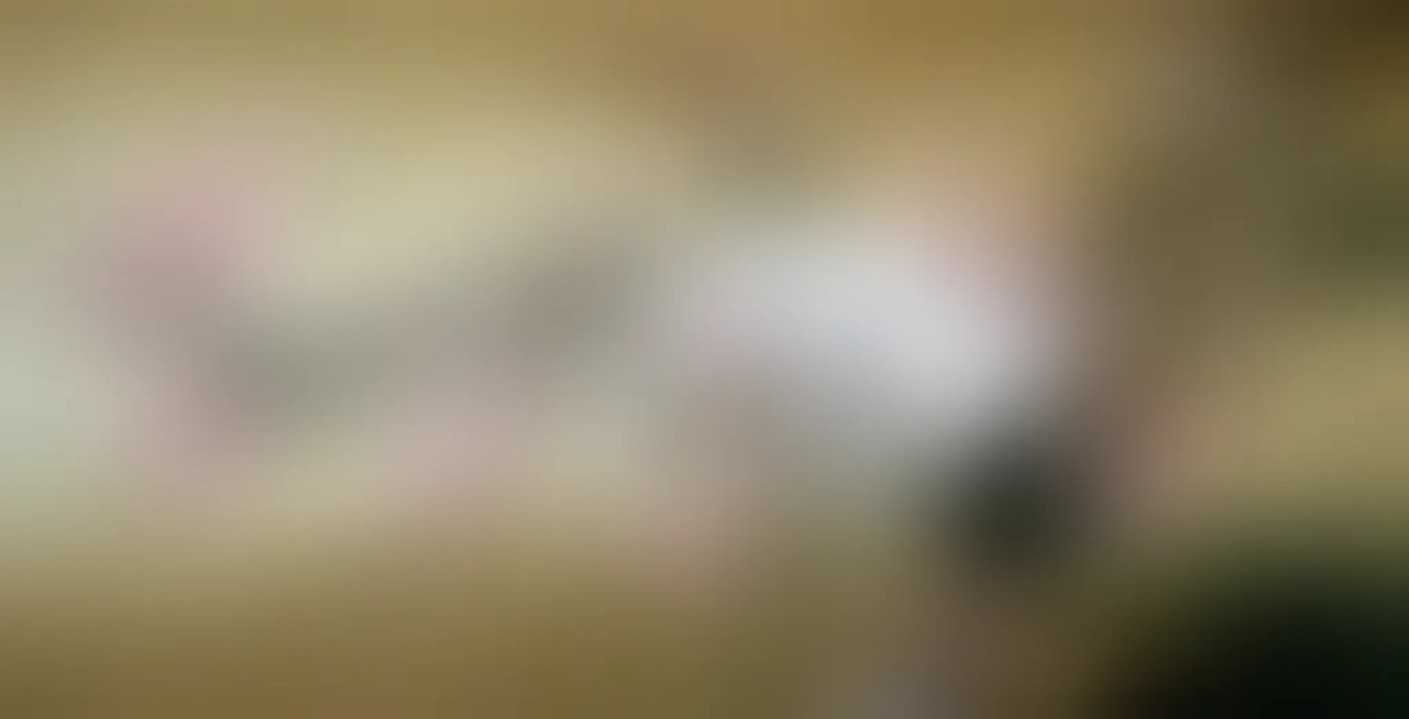 Tai Chi Classes Nottingham