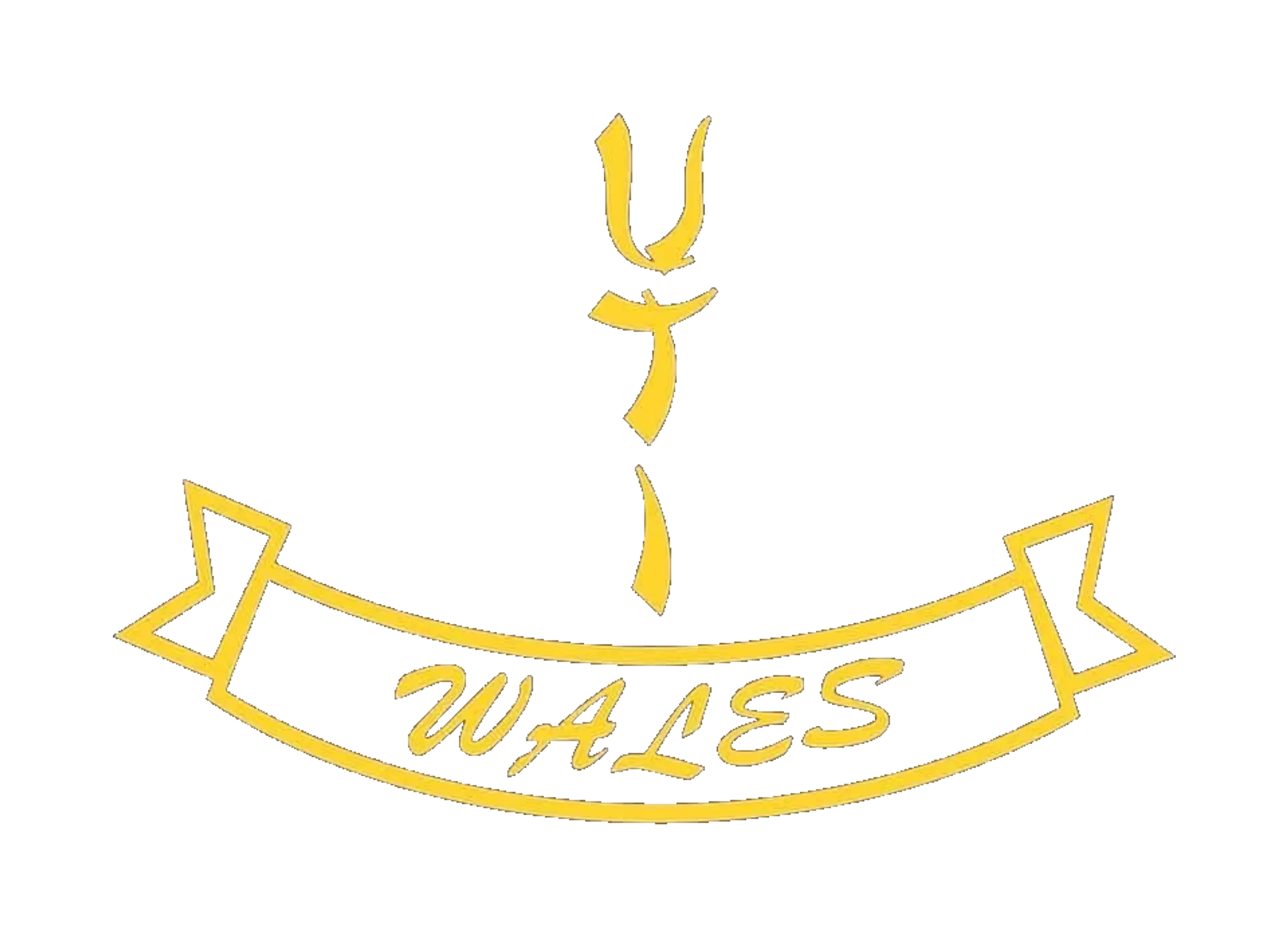 The United Taekwondo International Wales