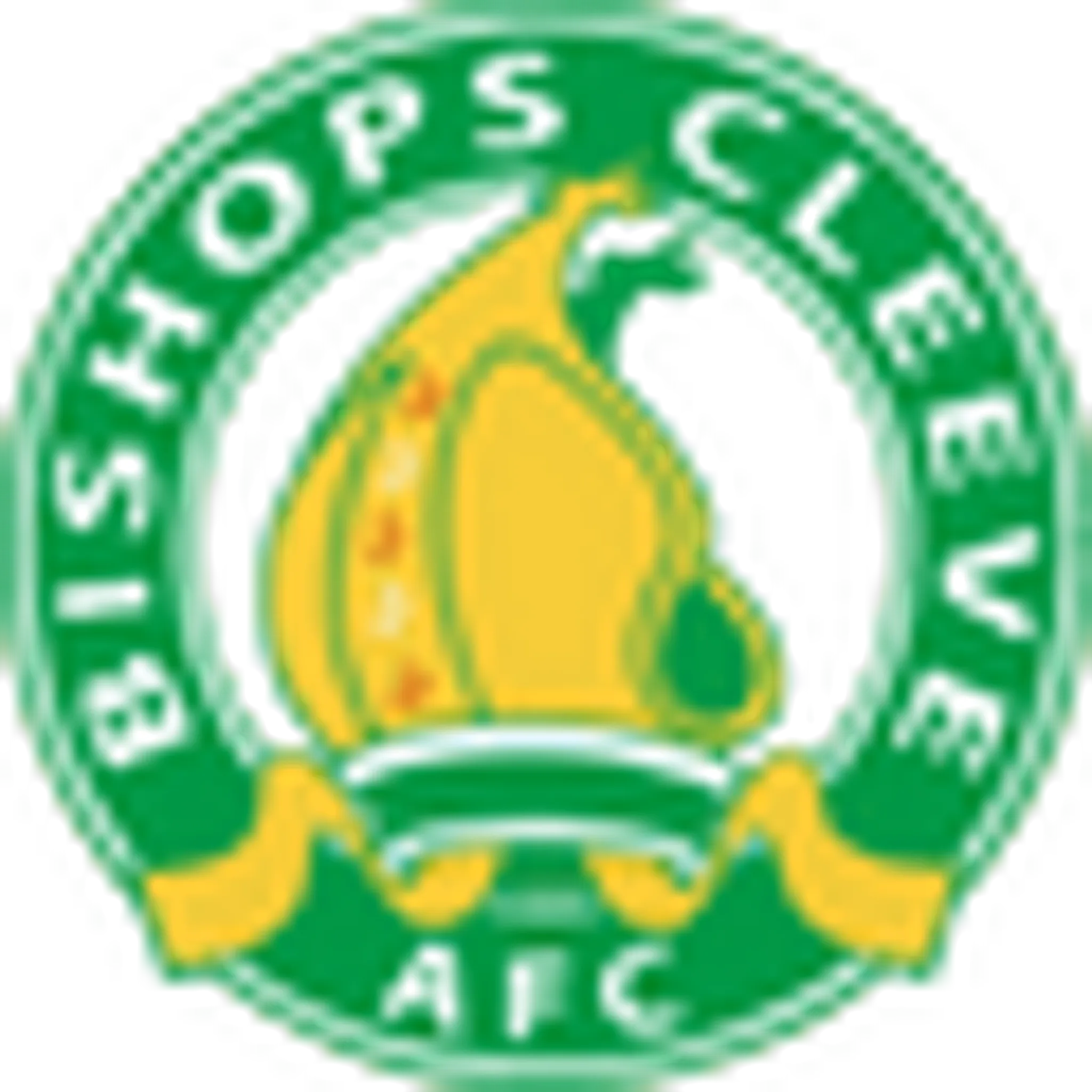 Bishops Cleeve FC