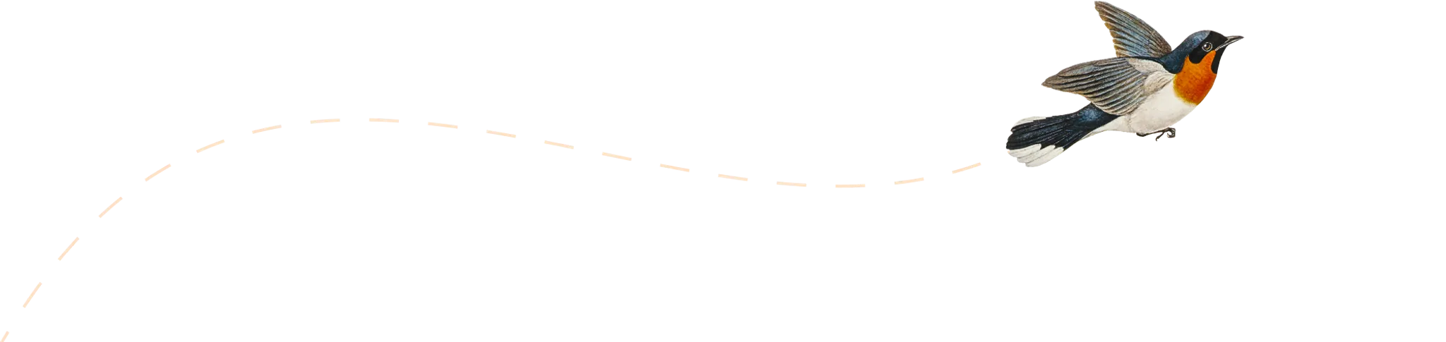 Mindful Lizard - Yoga and Meditation Retreats