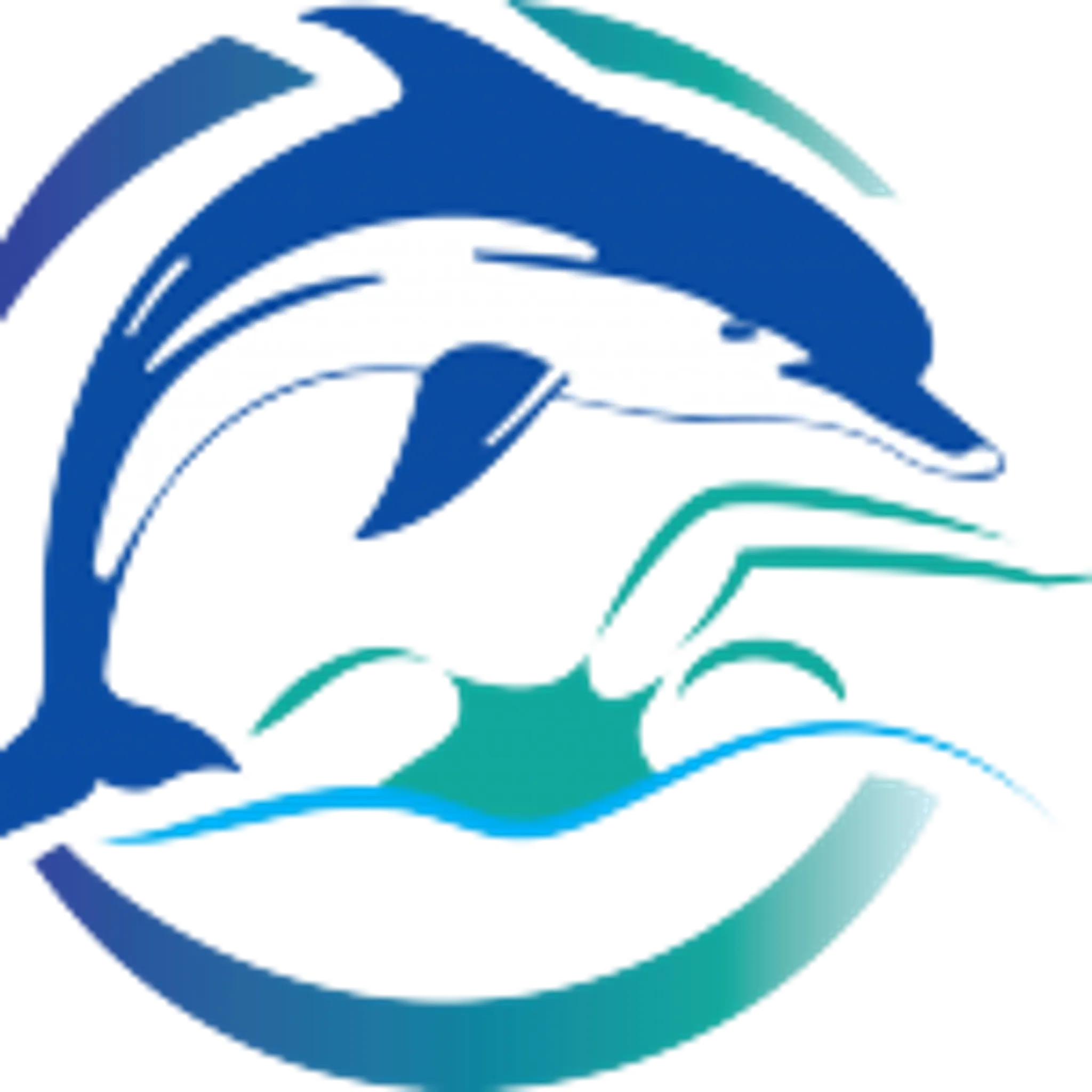 Dolphin Ladies Swimming Club