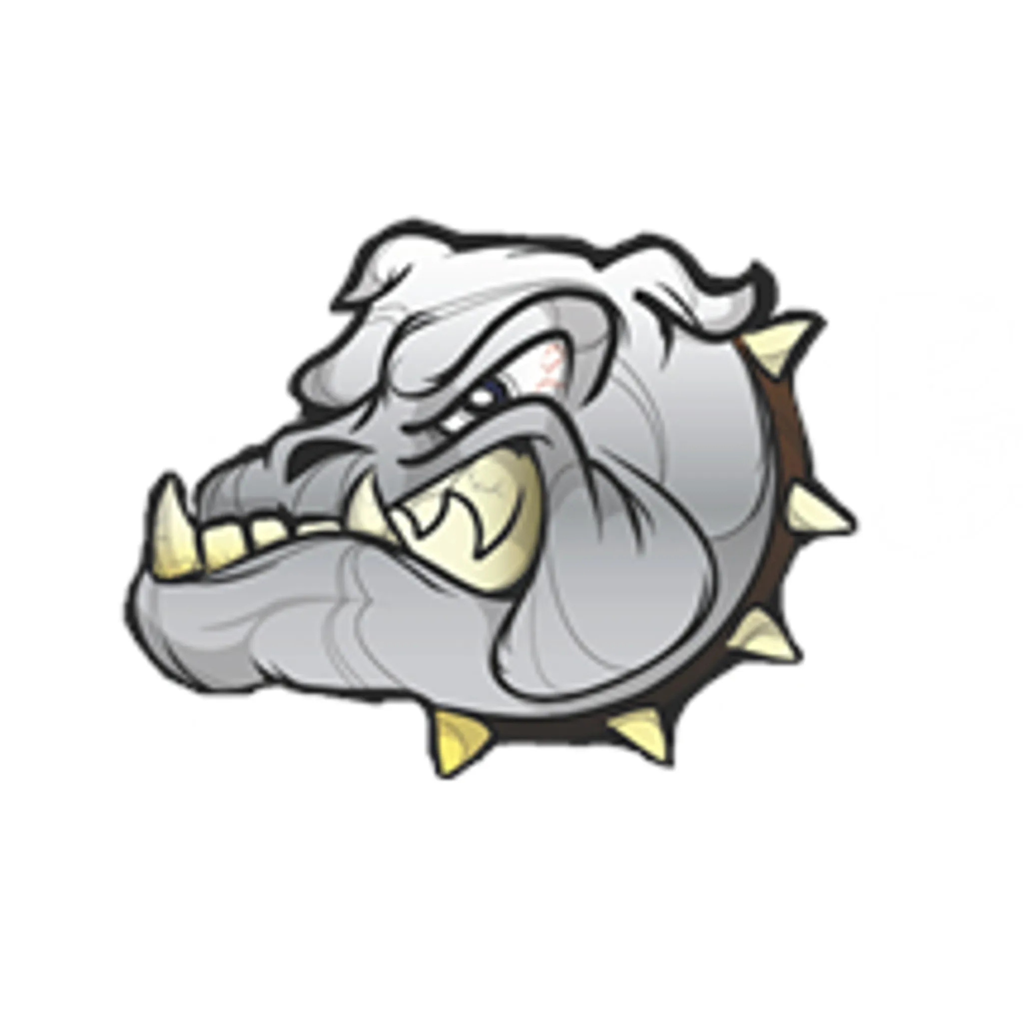 Bulldog Gym Castle Hill 