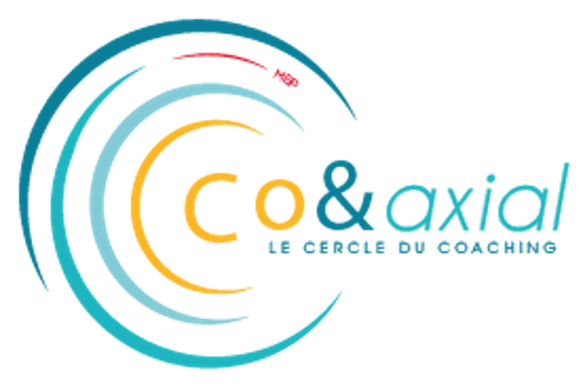 Rémi Coach Accompaniment Of Transitions And Developments Professional - Tours