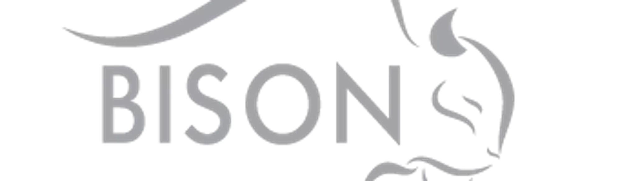 Bison Lodge Revelstoke