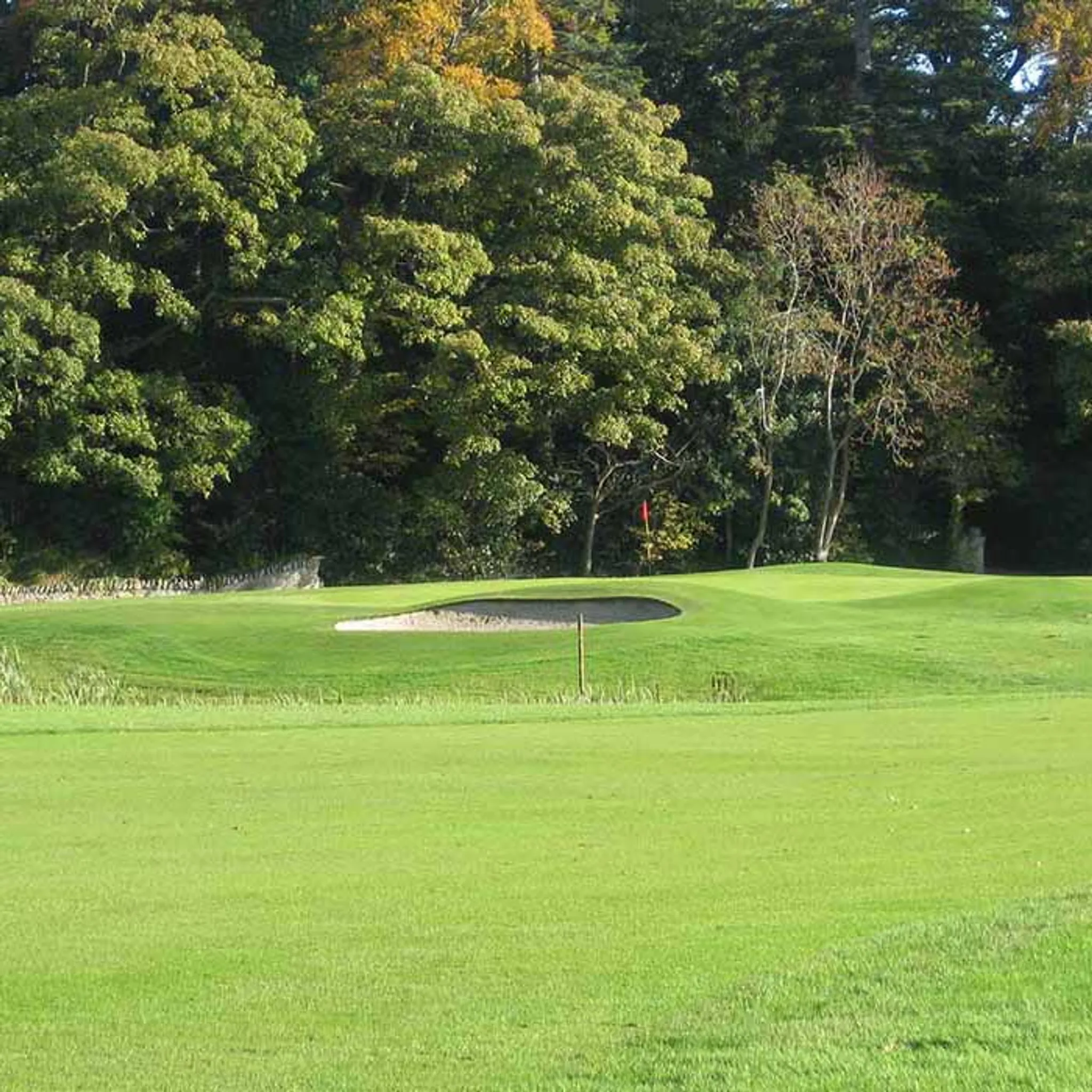 Ladybirds 9 Hole Shotgun Start Ladybirds 9 Hole Shotgun Start