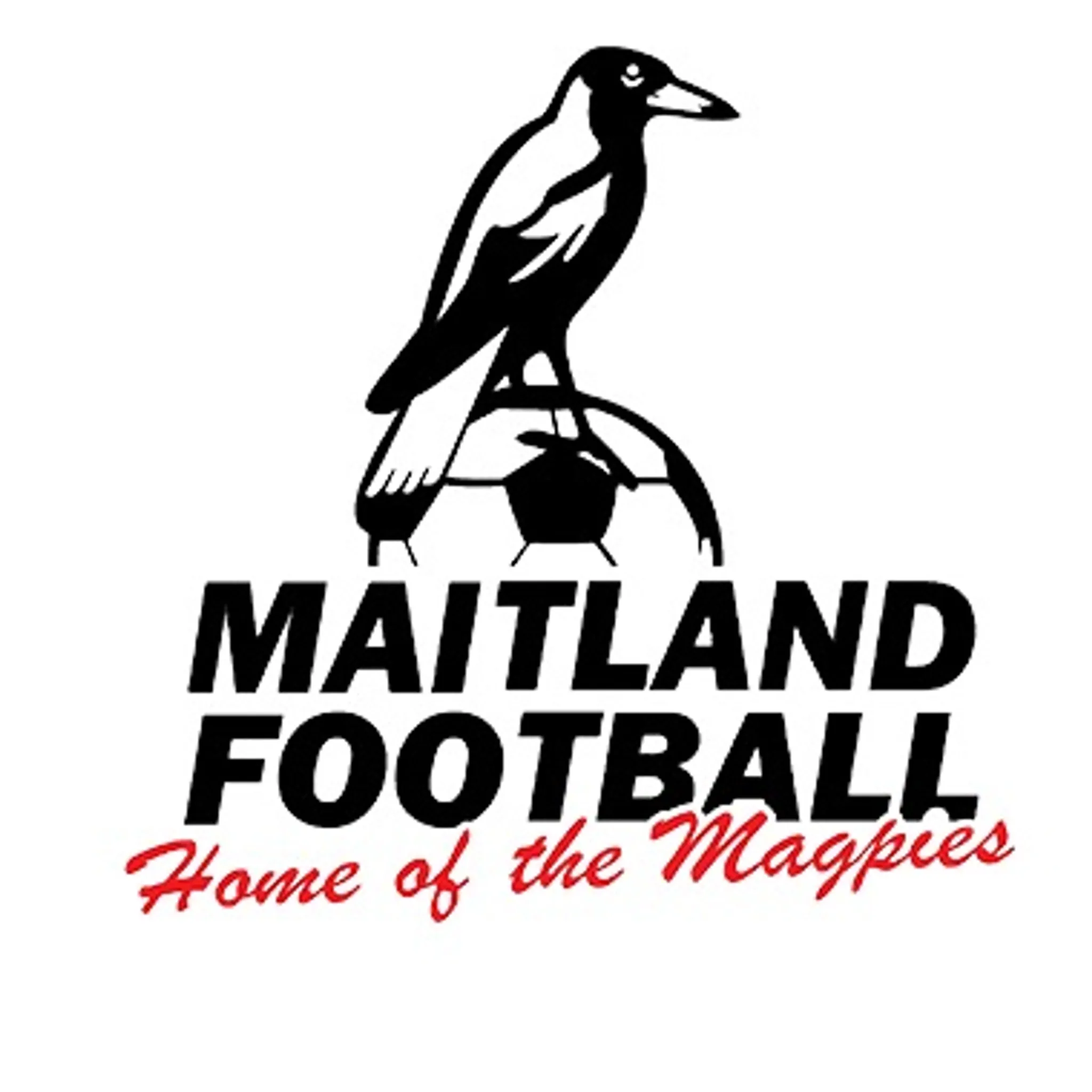 Maitland Football Club