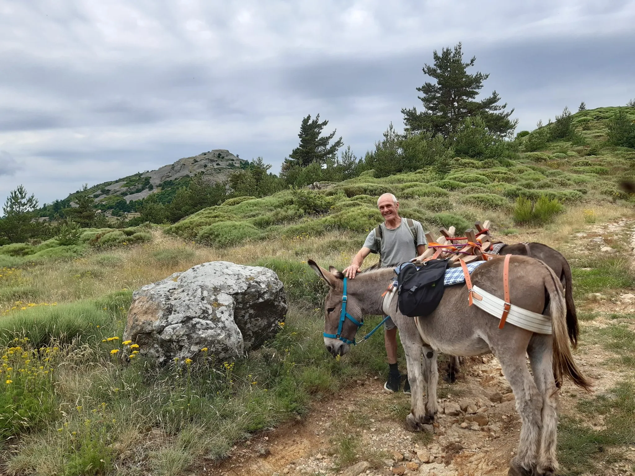 Les Ânes d'Artémis