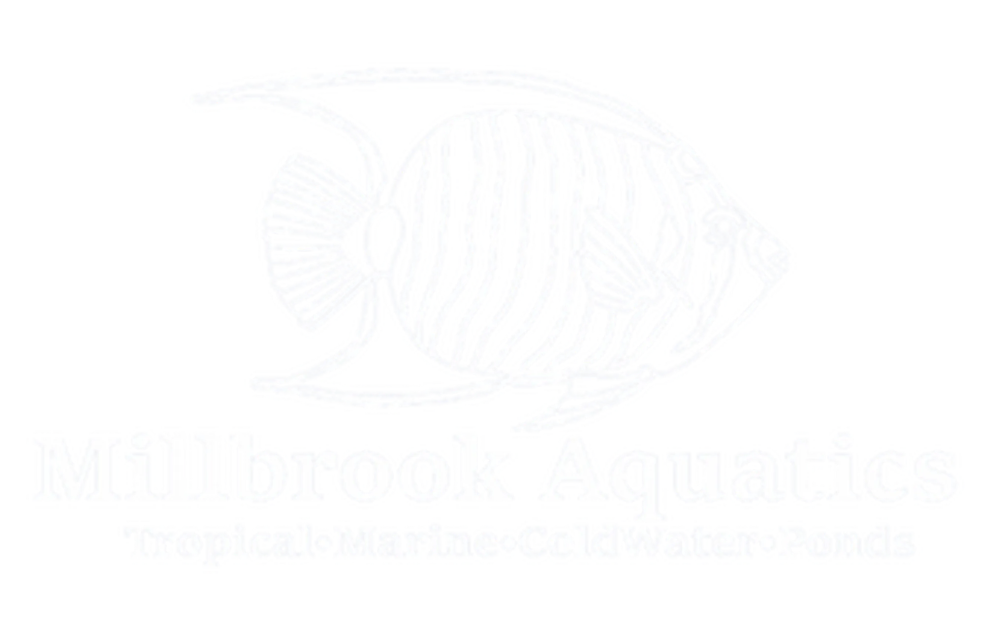 Millbrook Aquatics