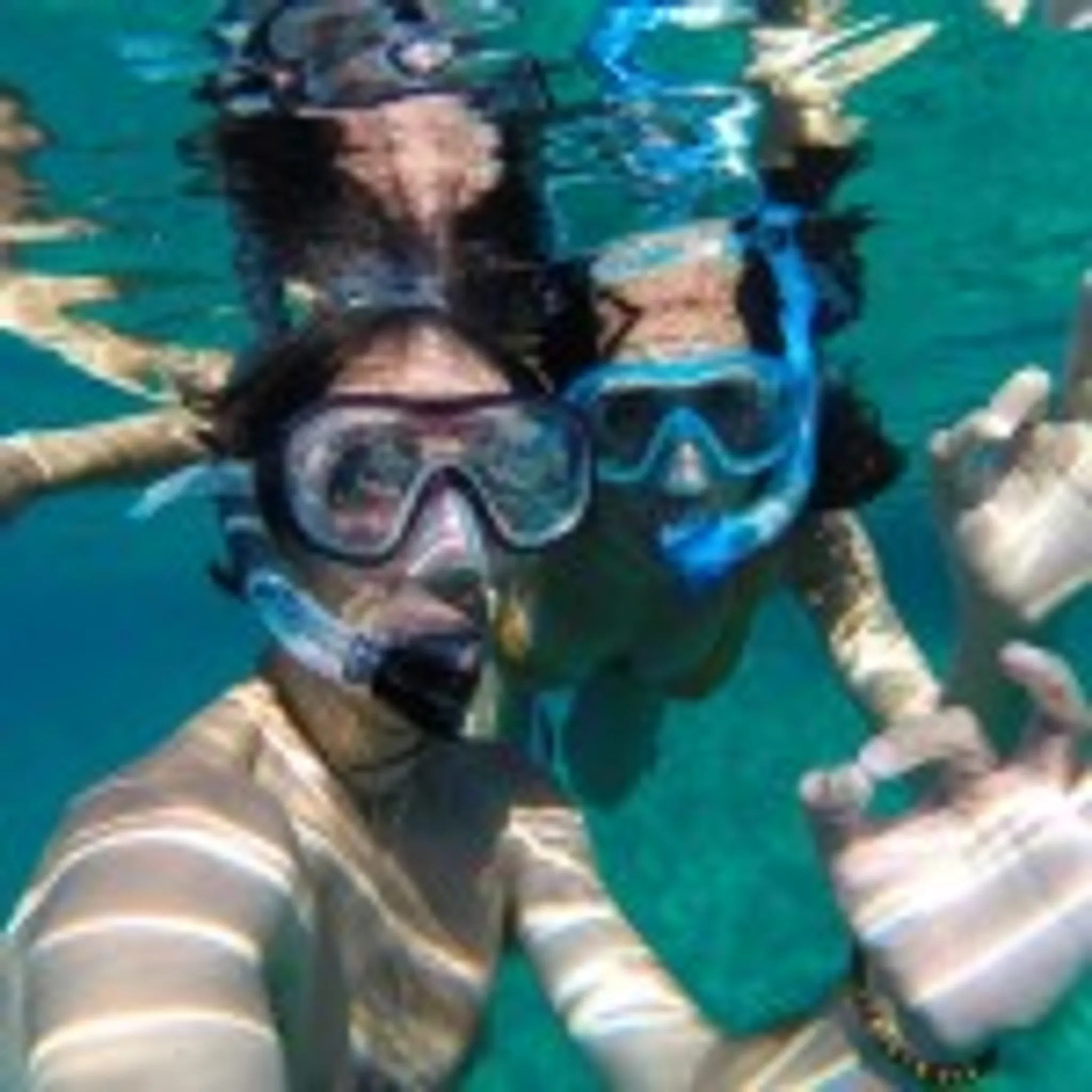 Liverpool Snorkel Centre