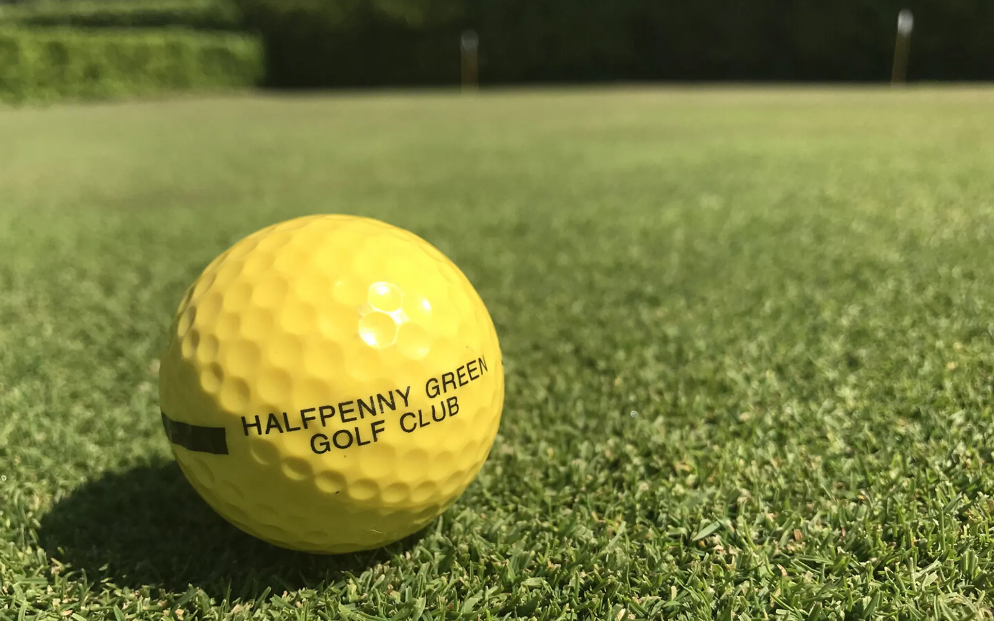 Halfpenny Green Golf Club & Driving Range