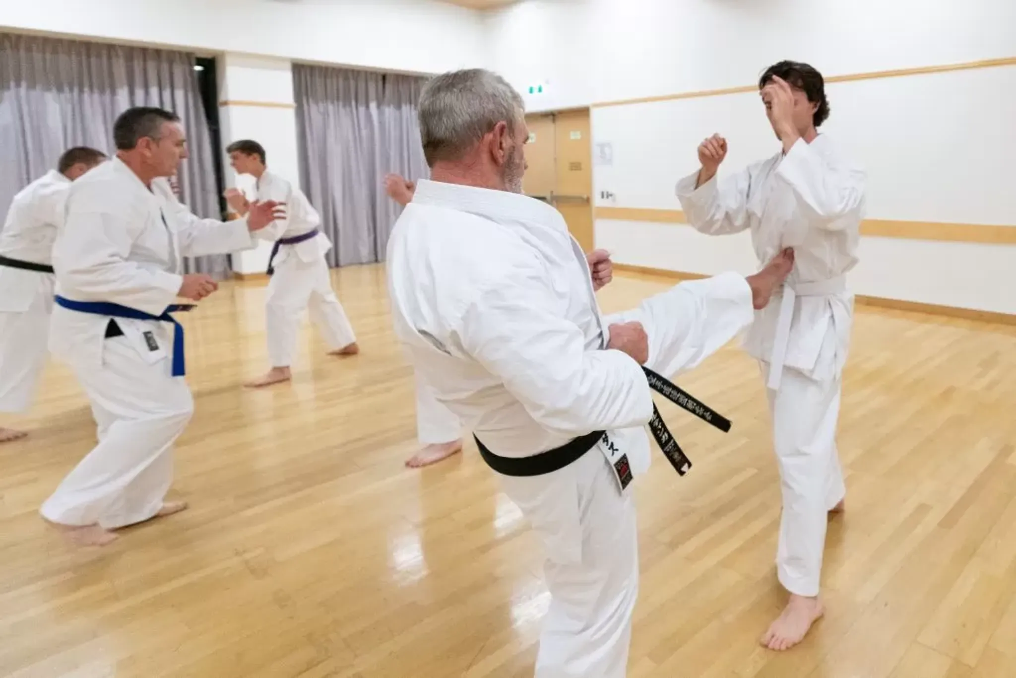 Goju-Ryu Karate Classes