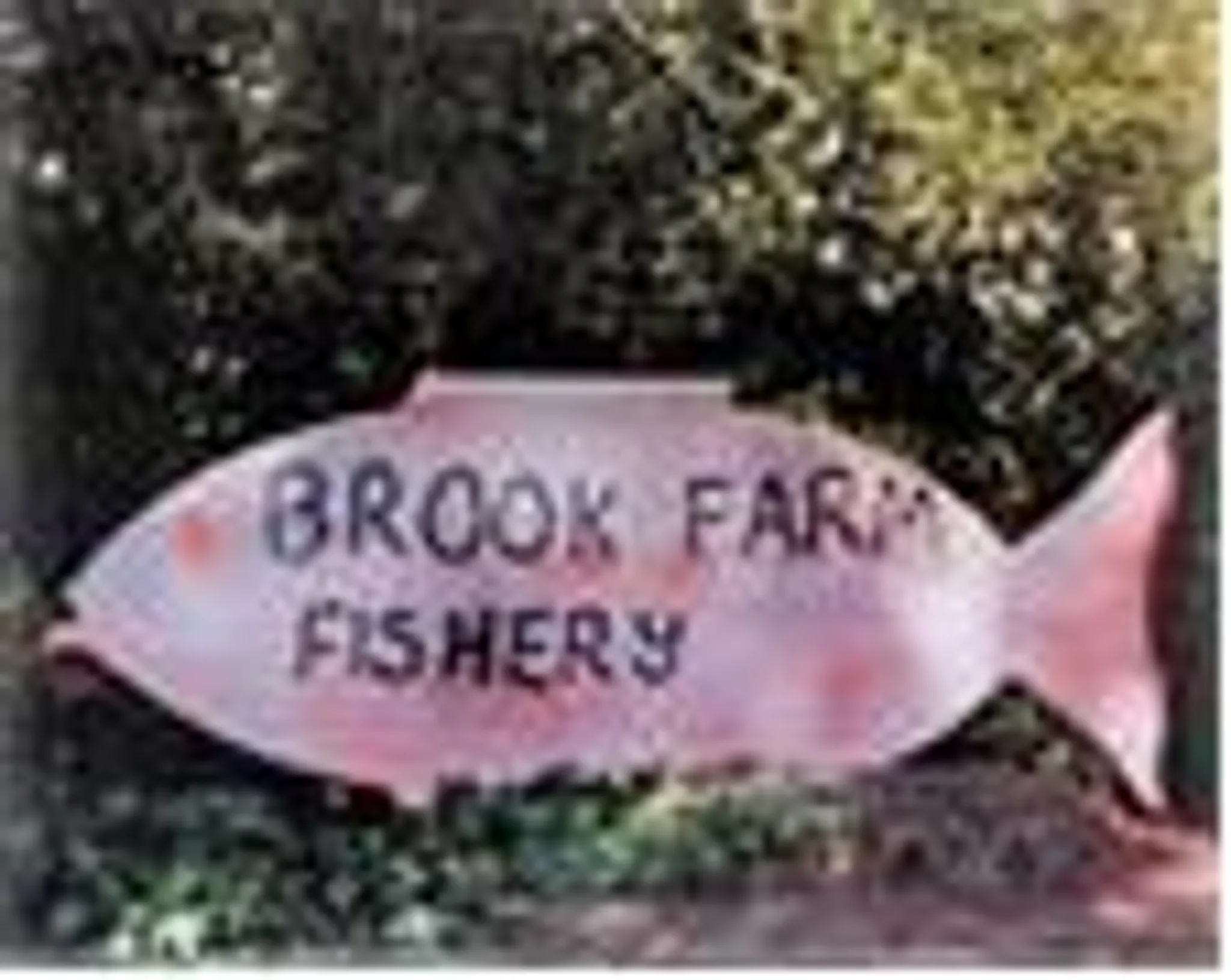 Brook Farm Fishery