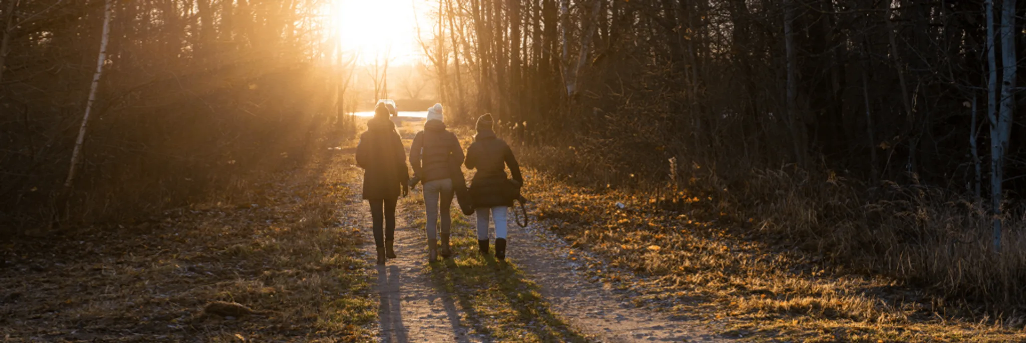 February Fitness Challenges