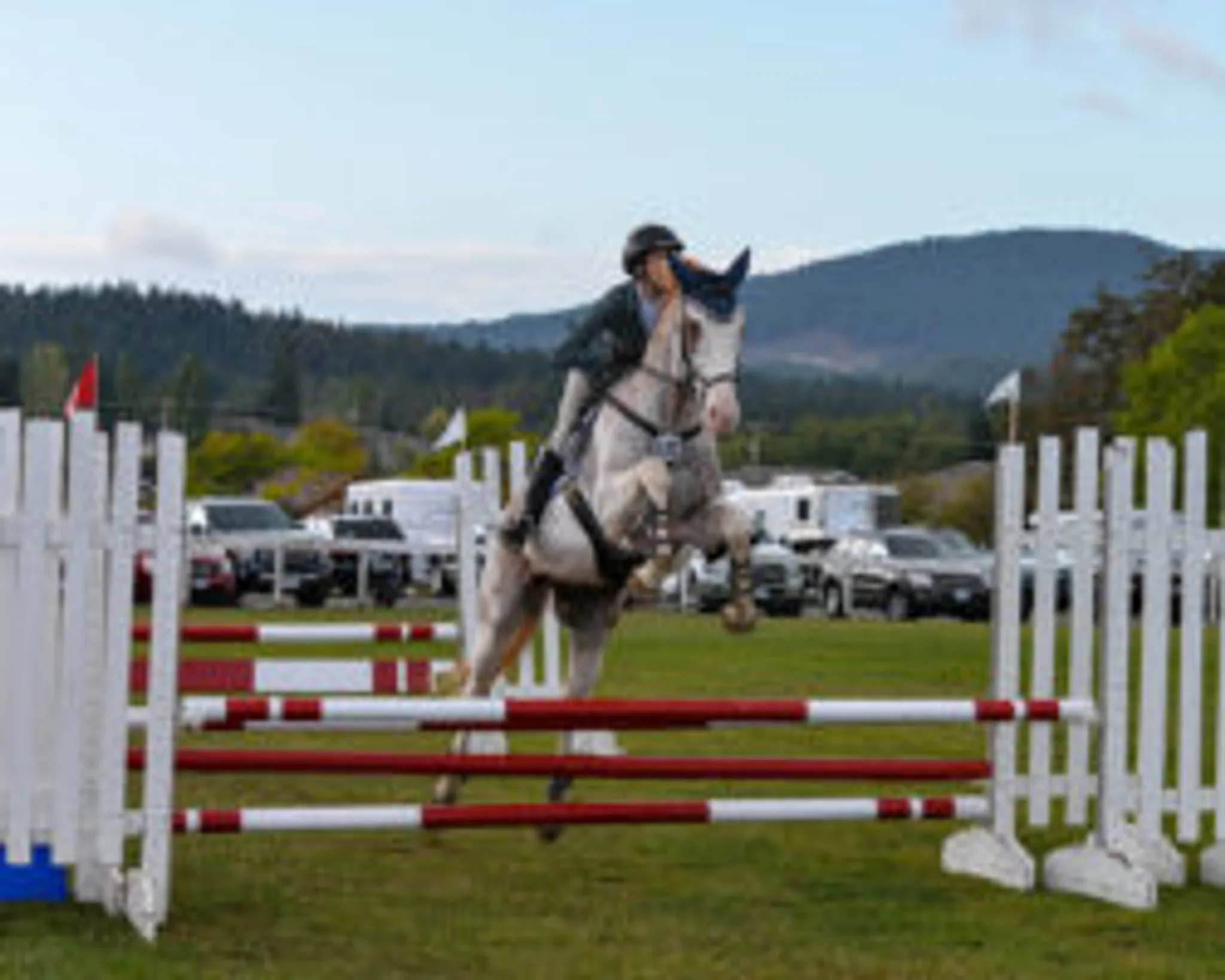 Vancouver Island Horse Shows 2024