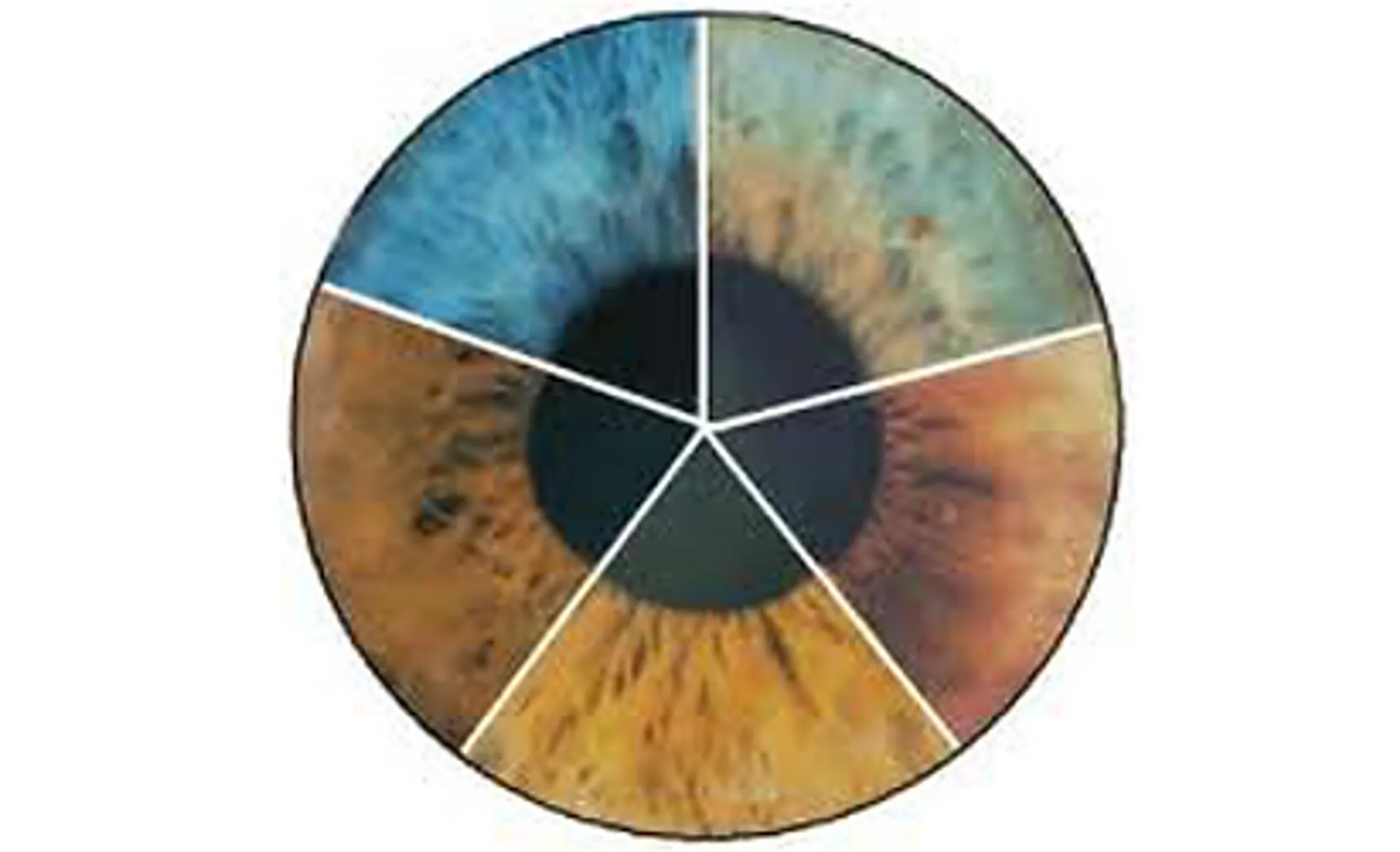 Sole Touch Therapies Reflexology