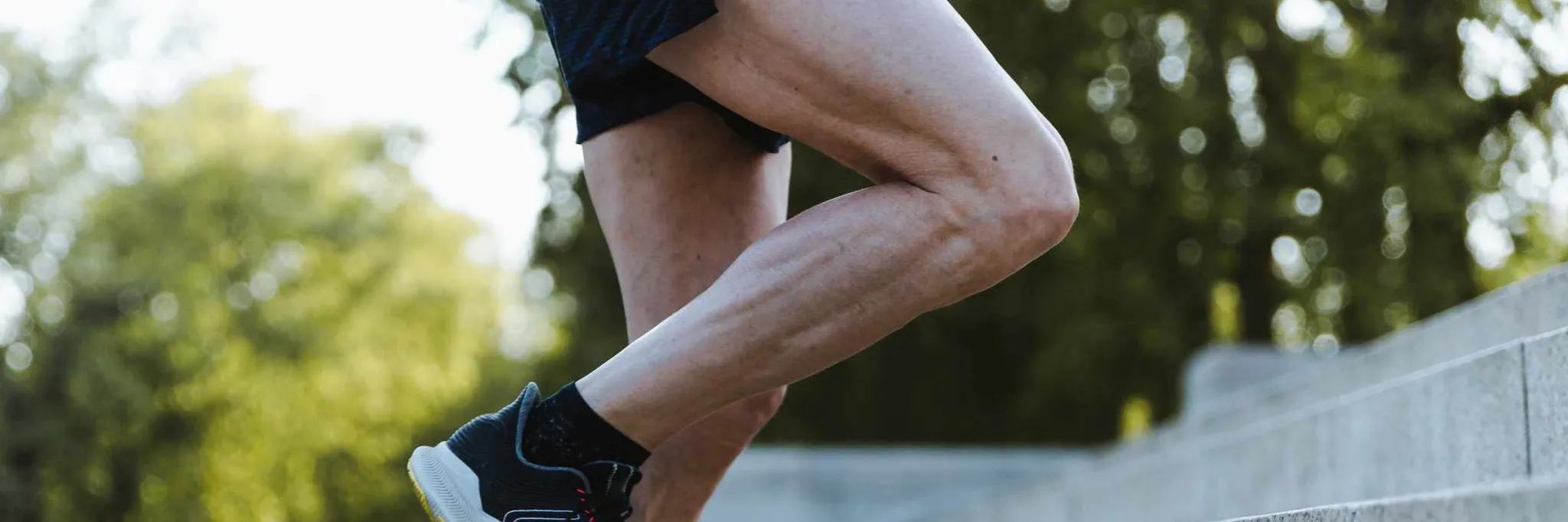 The Foundations Knee- Online Program The Foundations Knee- Online Program