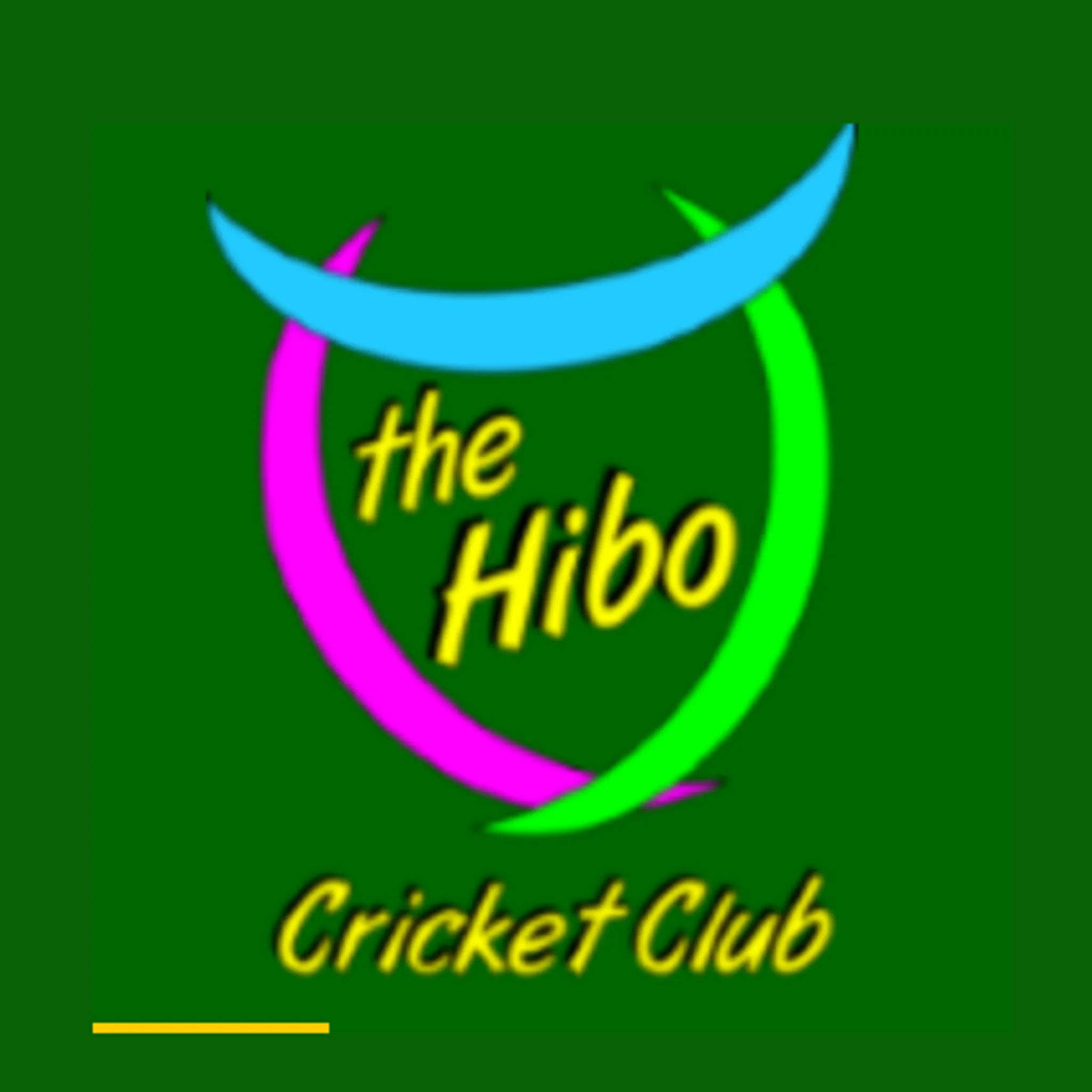 Hibo Cricket Club