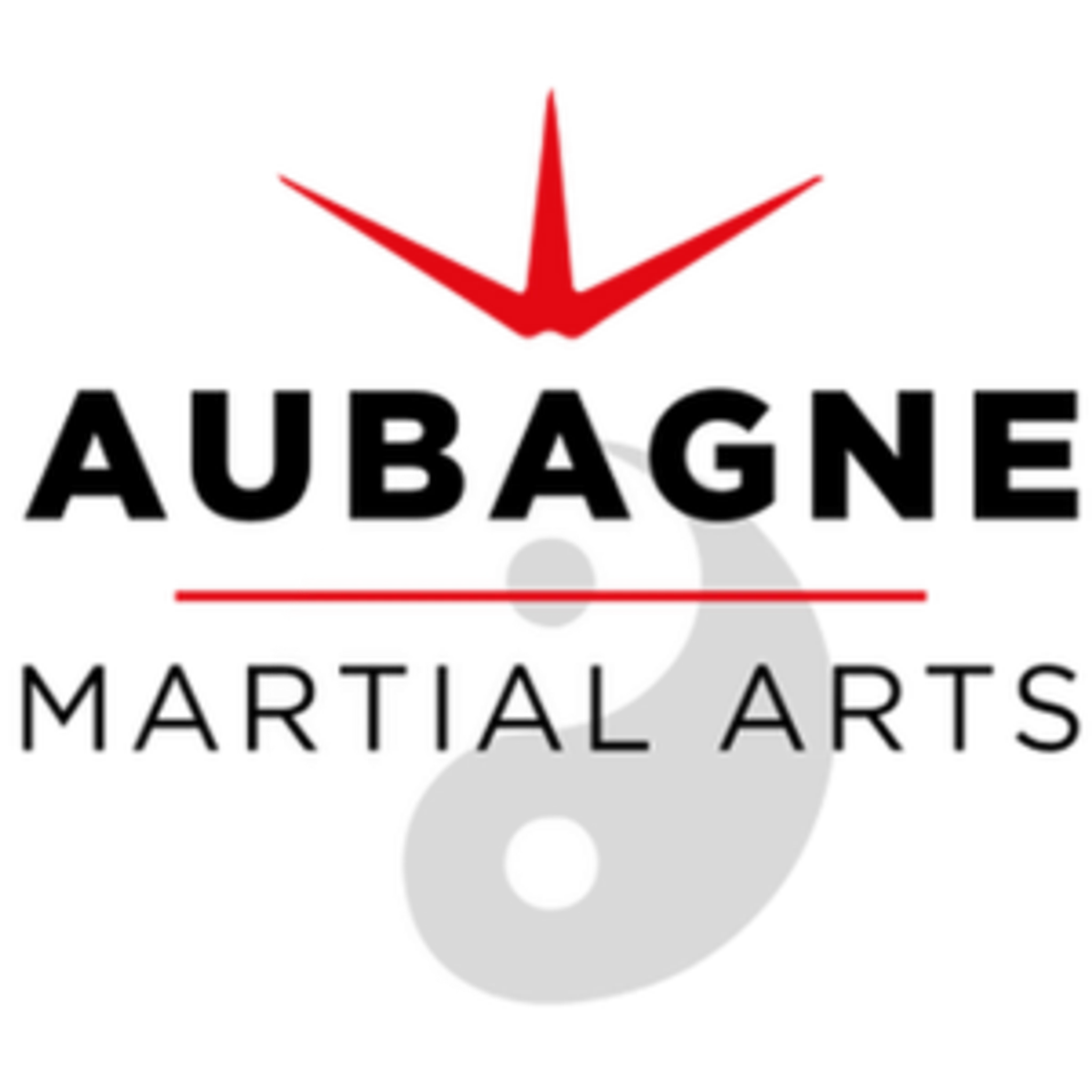 Aubagne Martial Arts