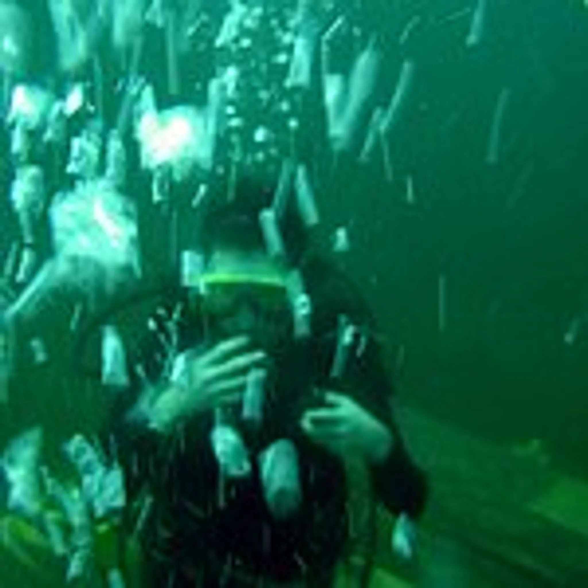 DiveINNResort Guláška