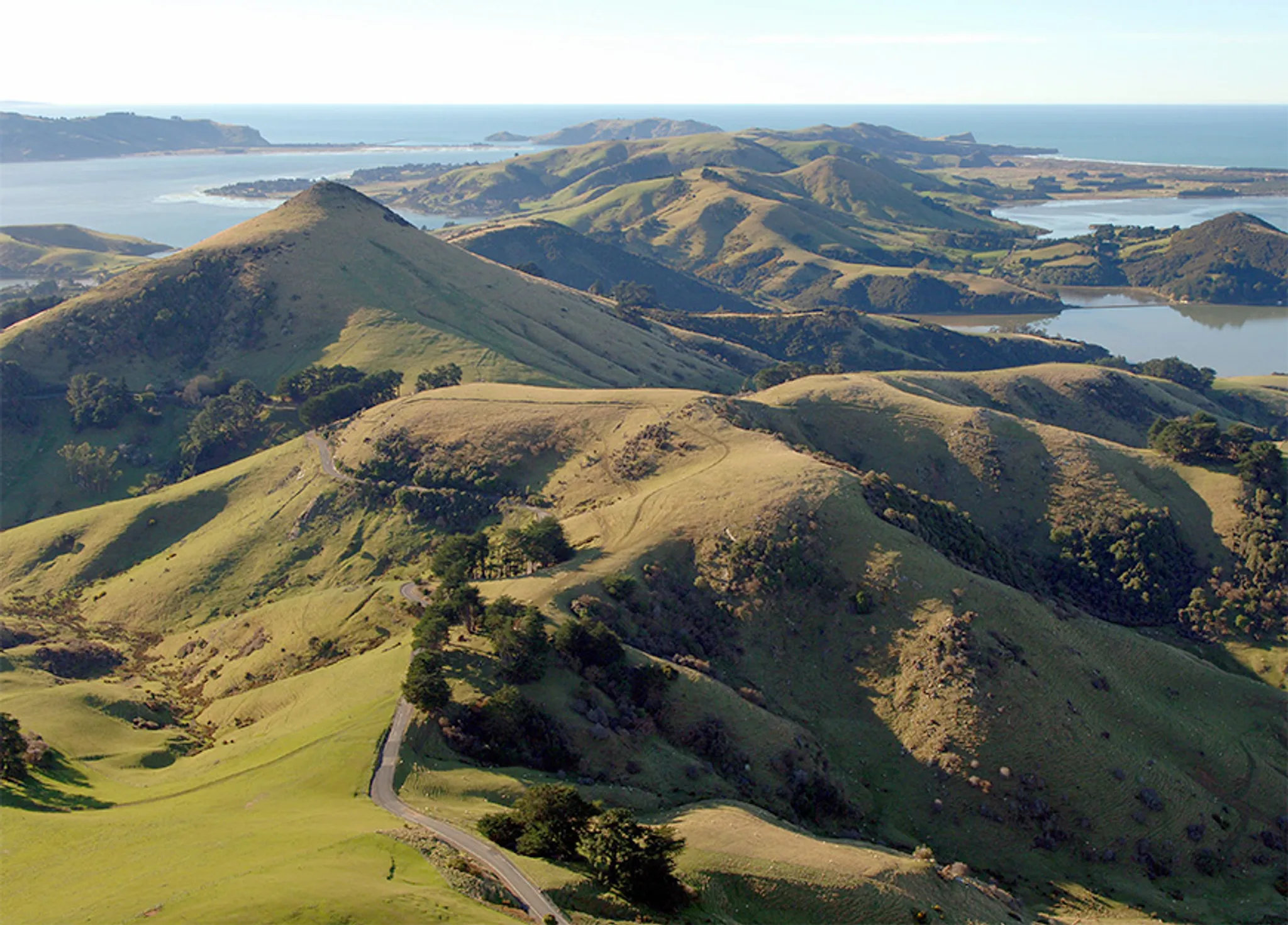 Otago Harbour Activities & Tours