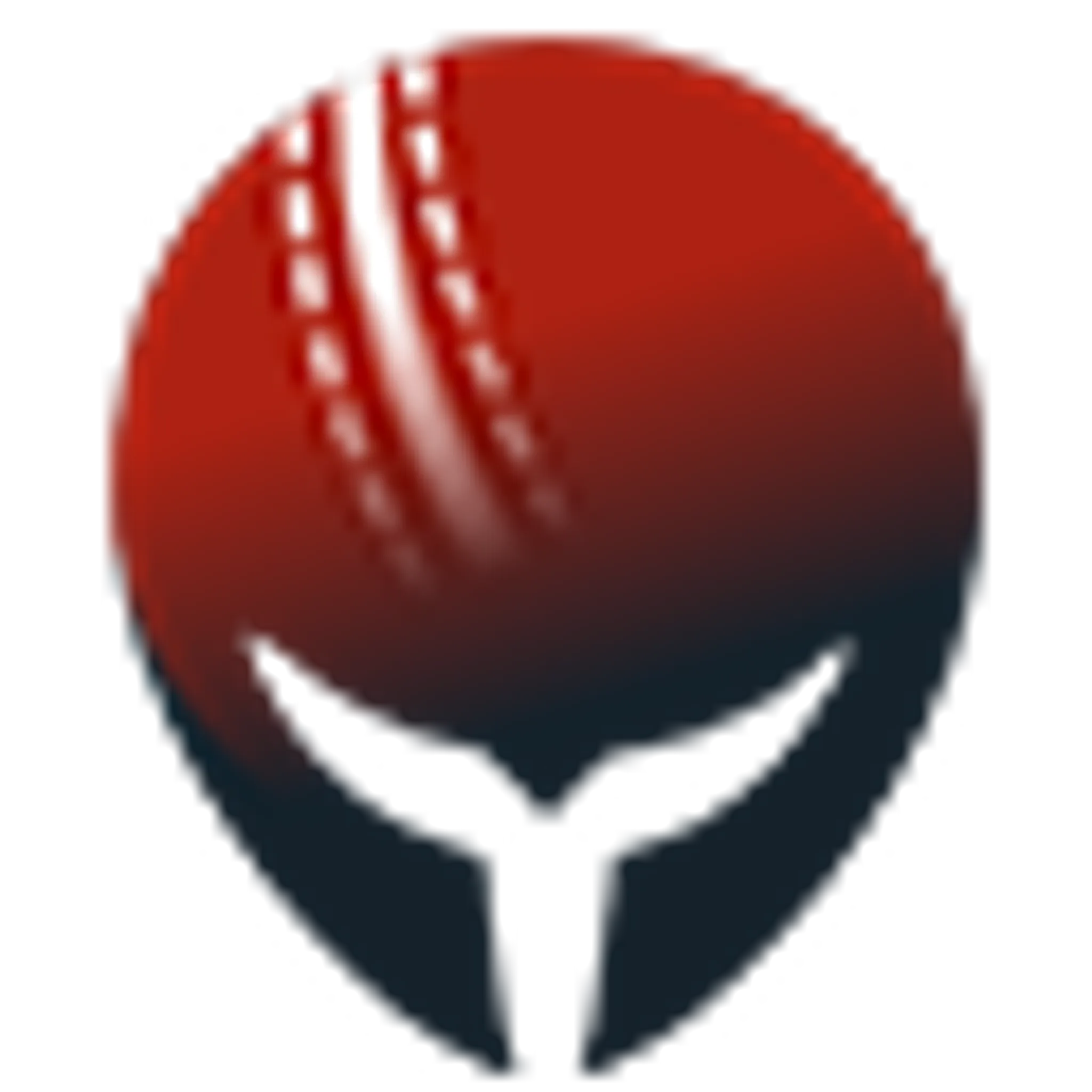 Varchaswa Cricket Academy