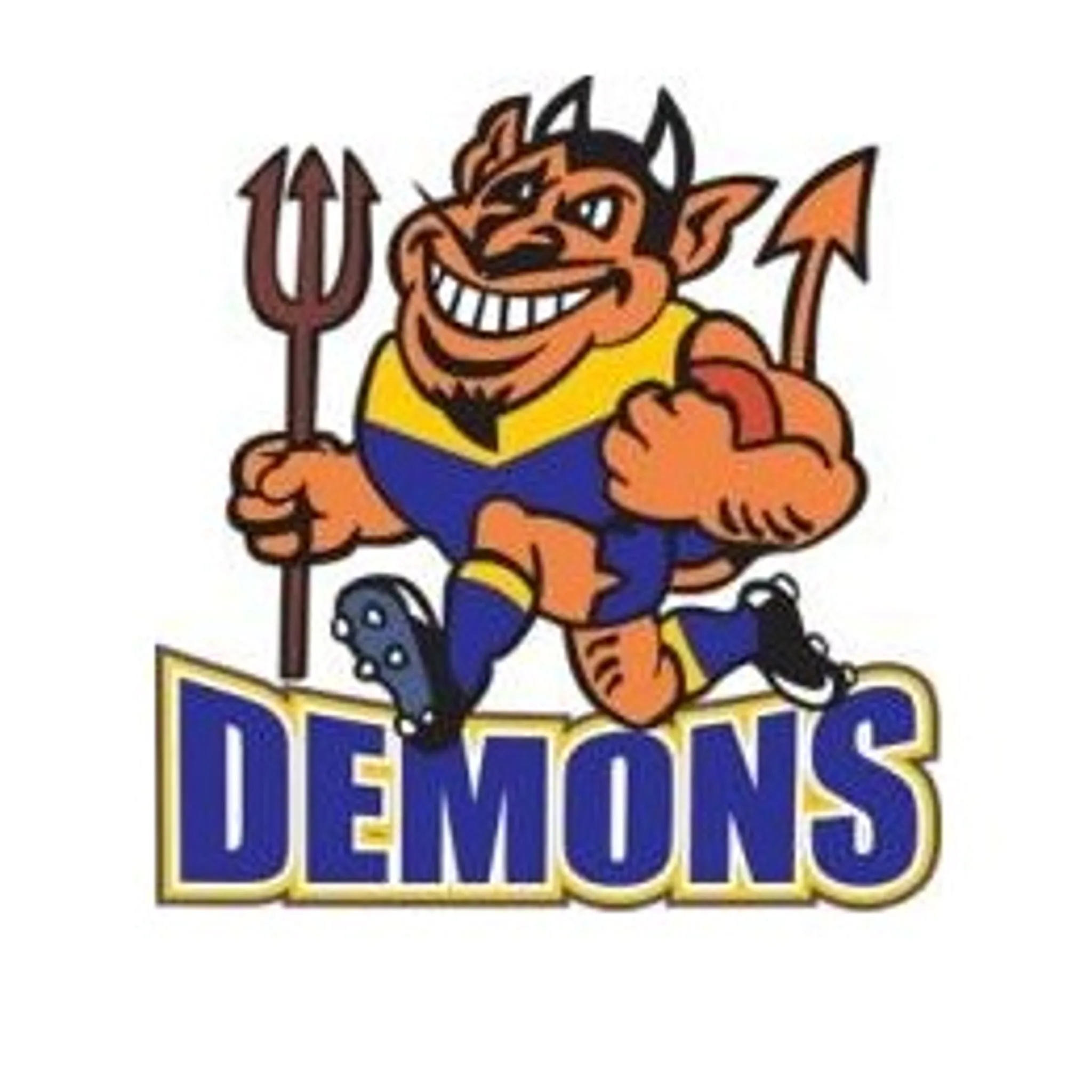 Pomona Cooroy & District AFC