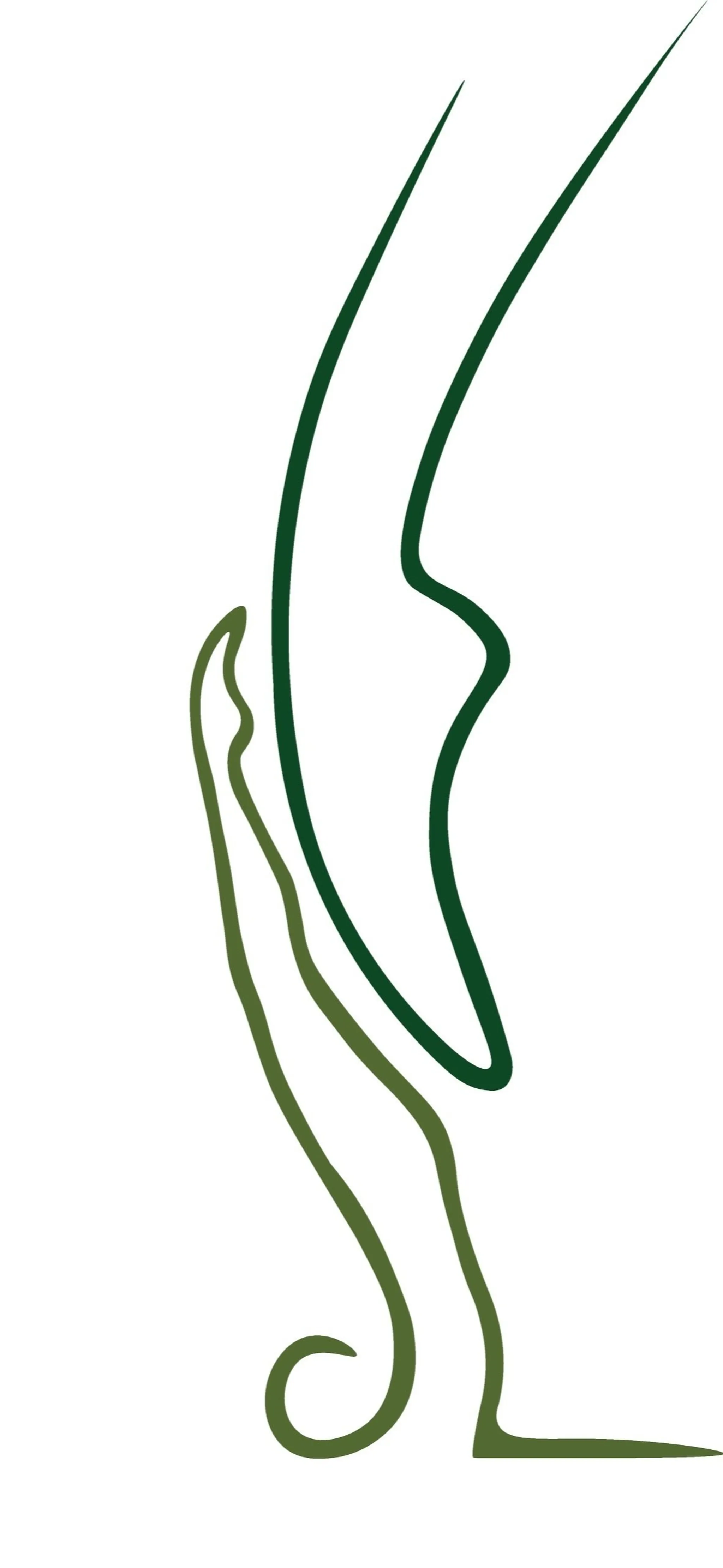 Bushma Boundless Pilates & Dance