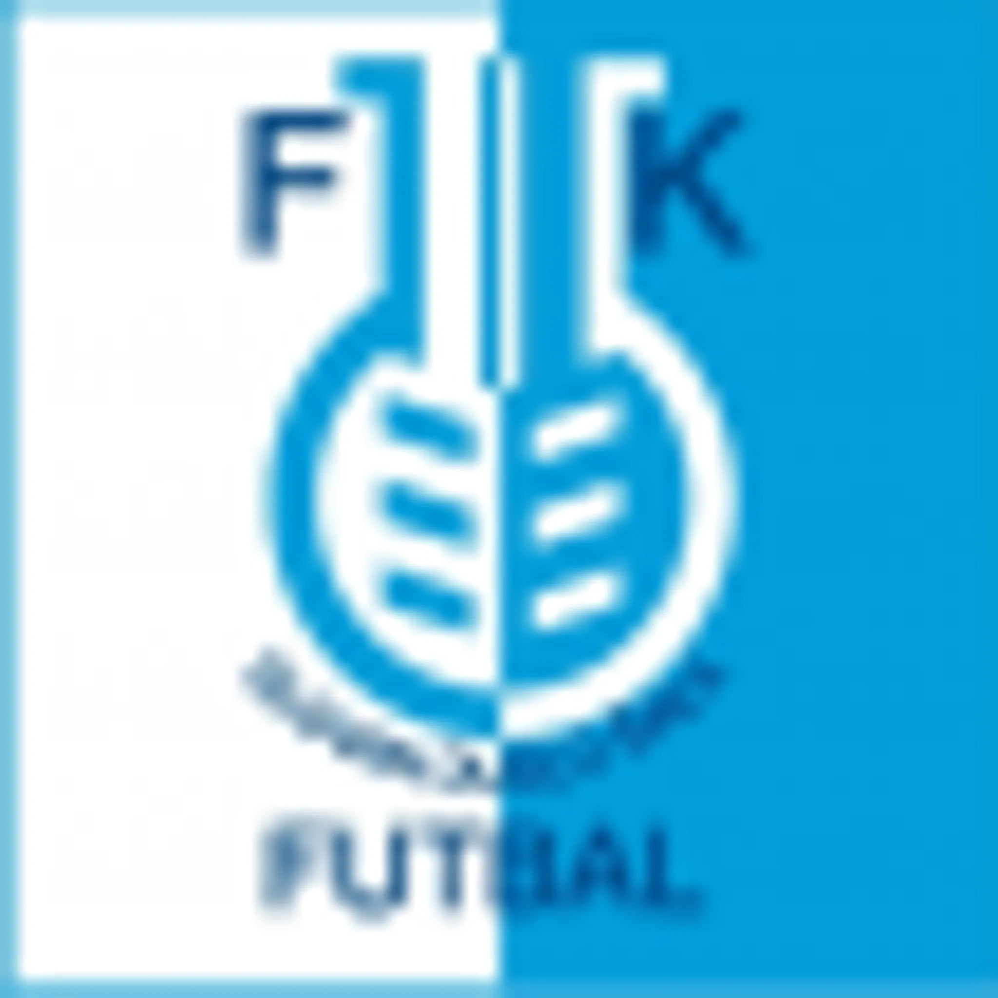 AFC Nové Mesto nad Vàhom